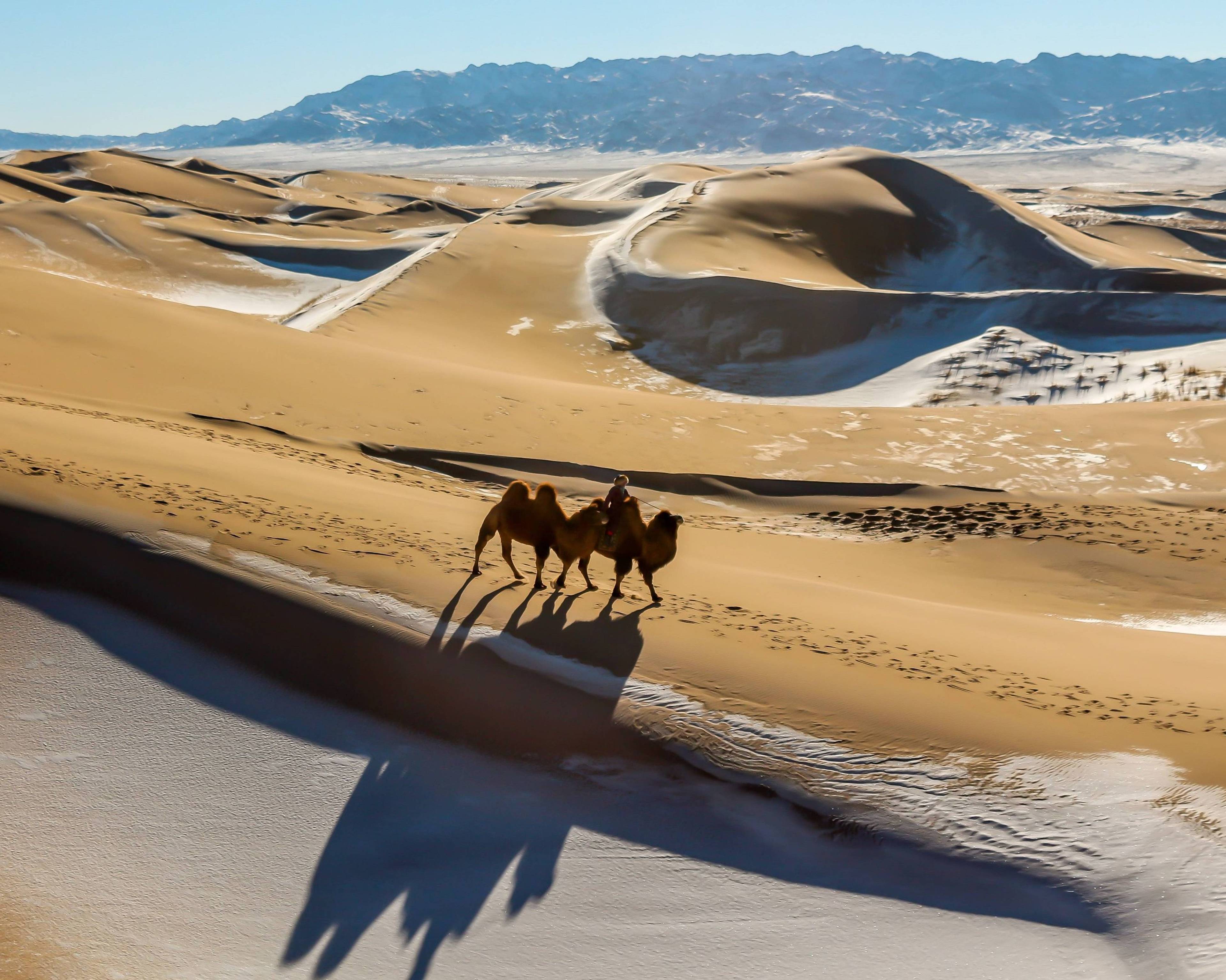 Authentischer Winterzauber in der Wüste Gobi