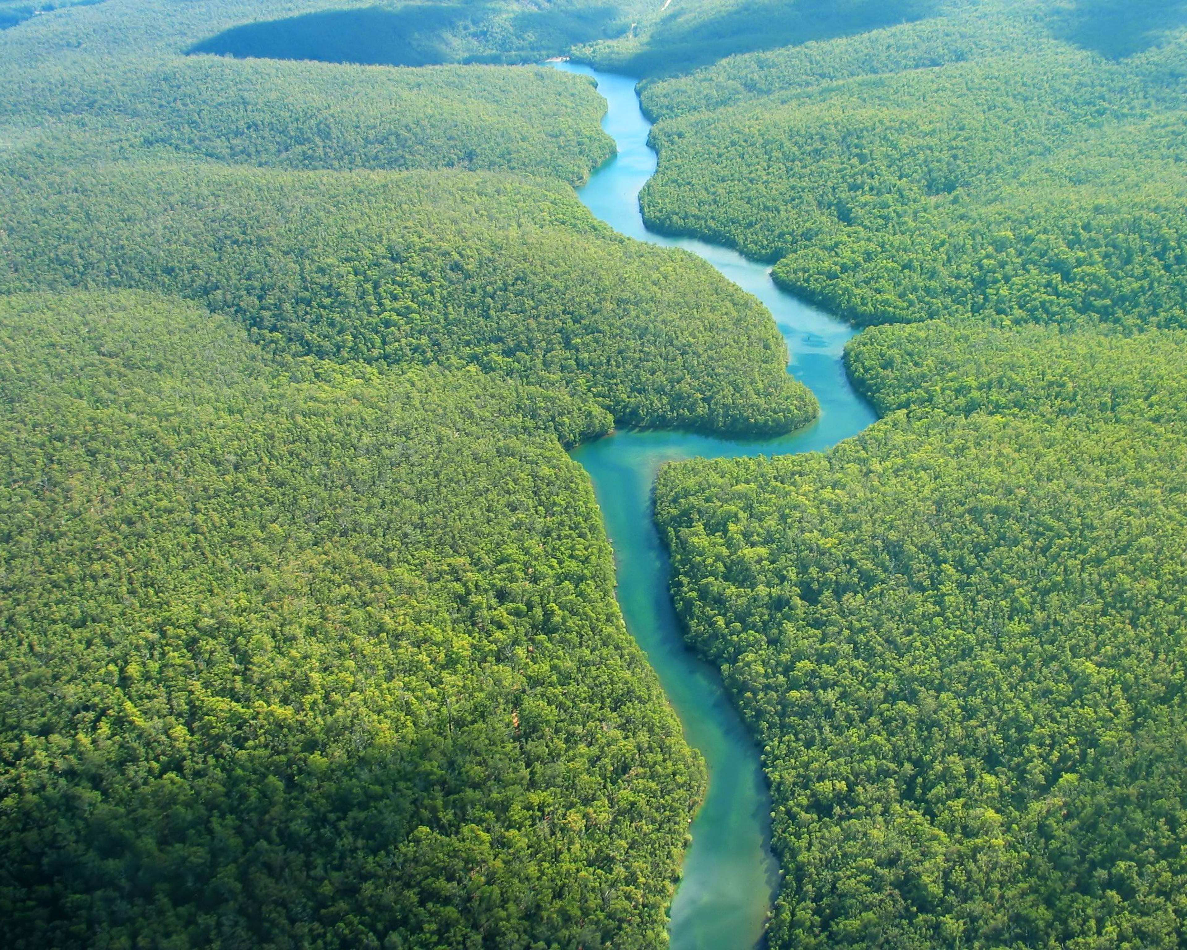 Giungla experience: seguendo il corso del Rio delle Amazzoni