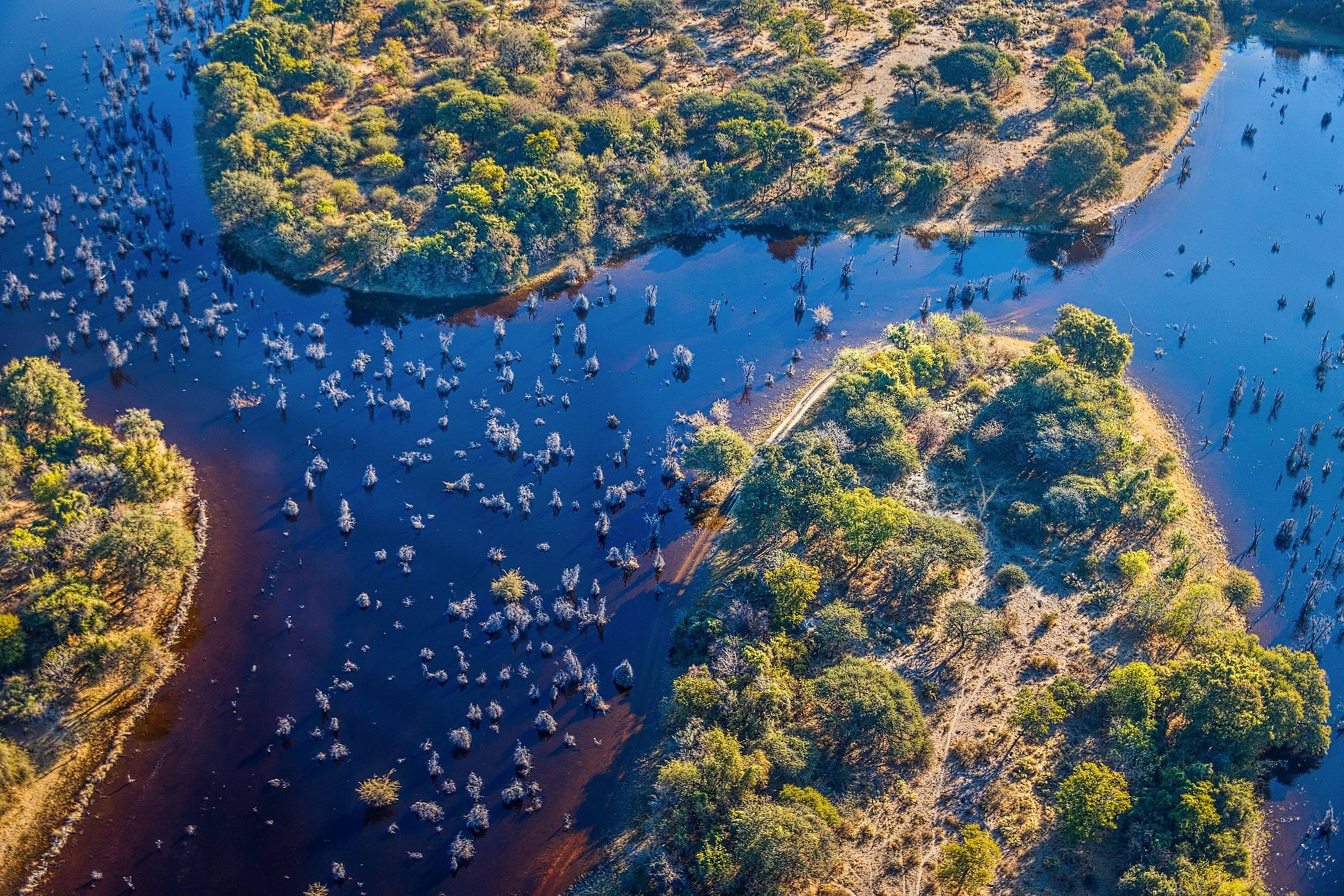 Traversée de la nature indomptée de l’Okavango au Kalahari