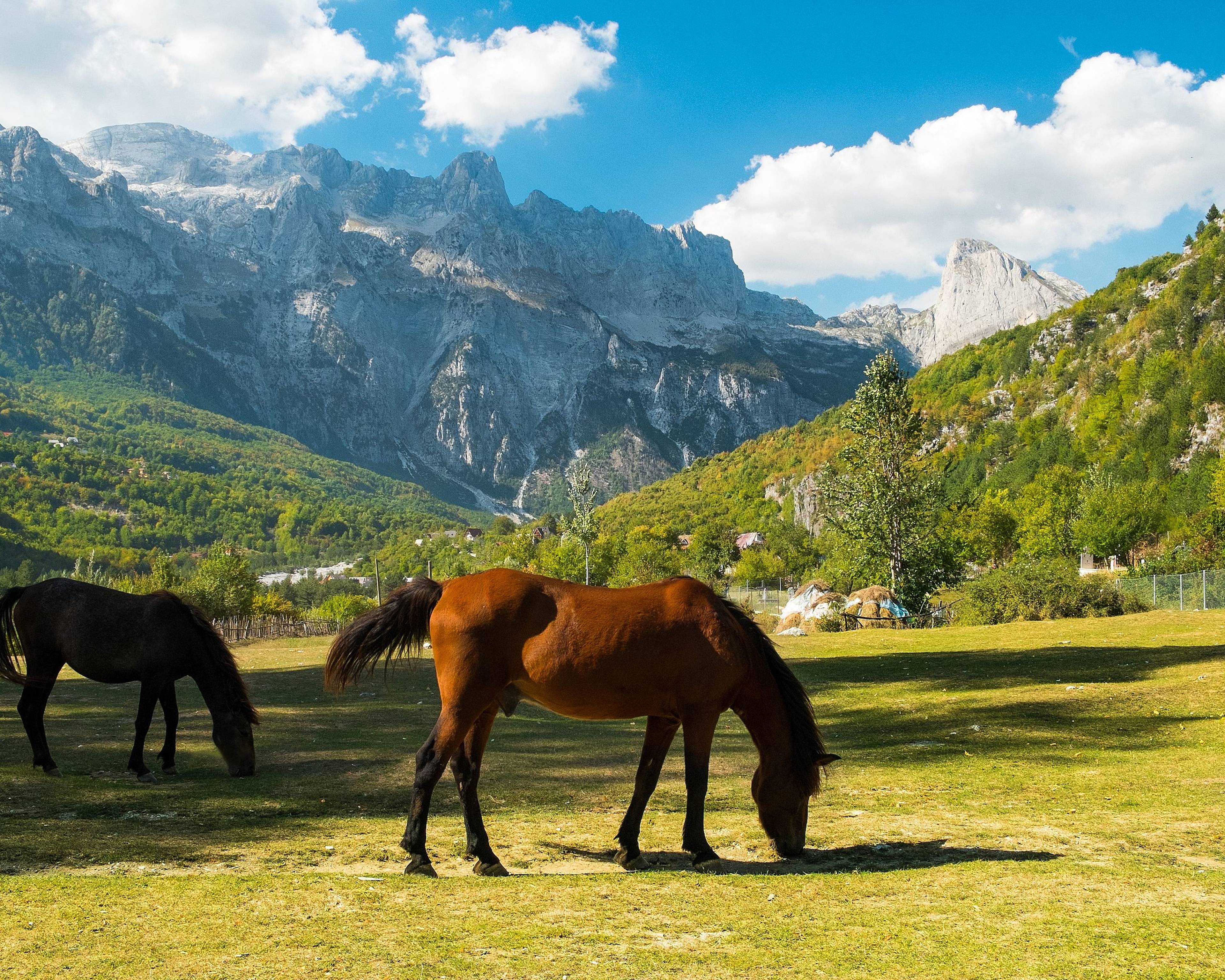 Actieve wandelreis door Montenegro en Albanië