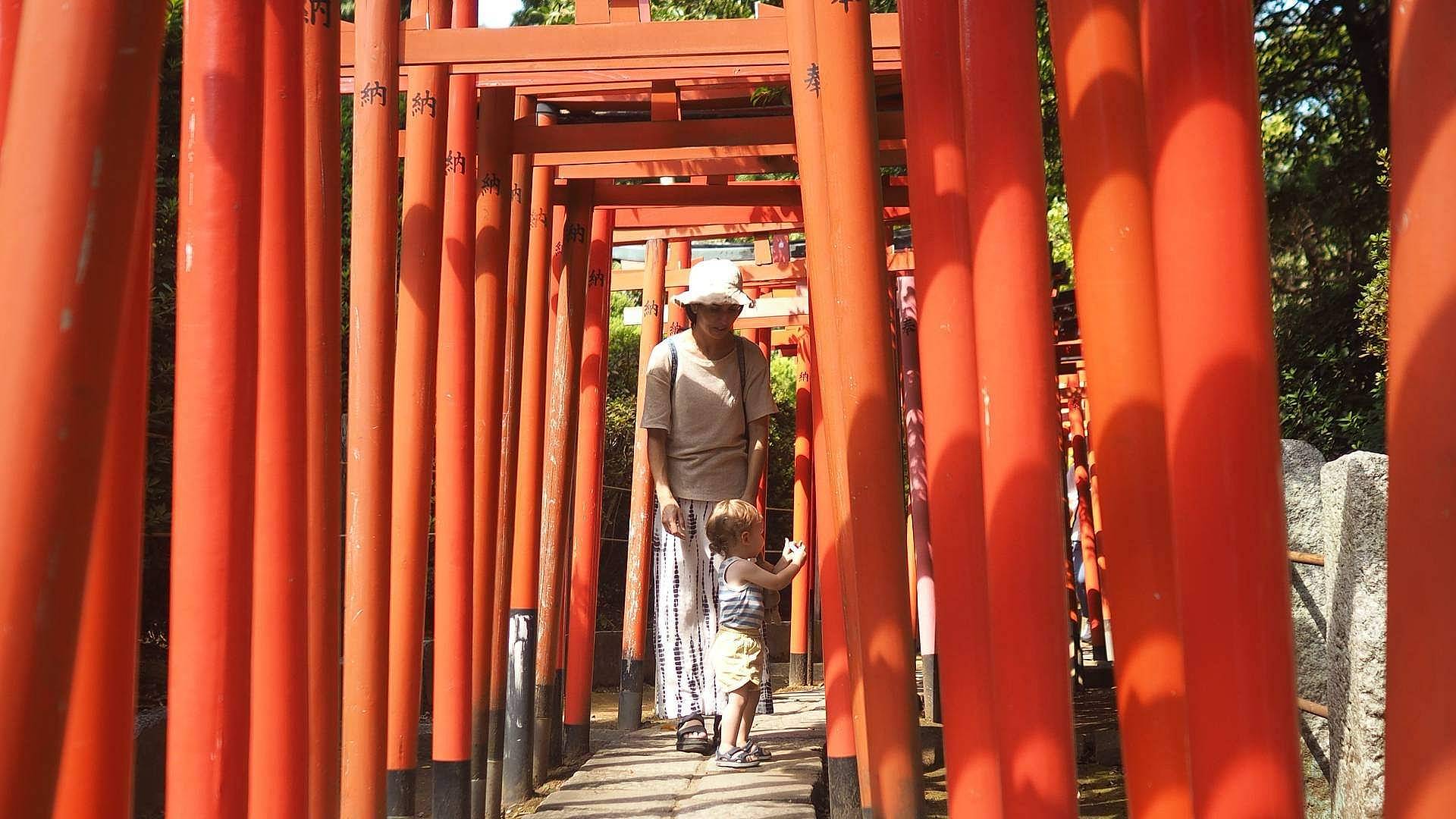 Explorando Juntos: Un Viaje en Familia desde Tokio hasta Kioto