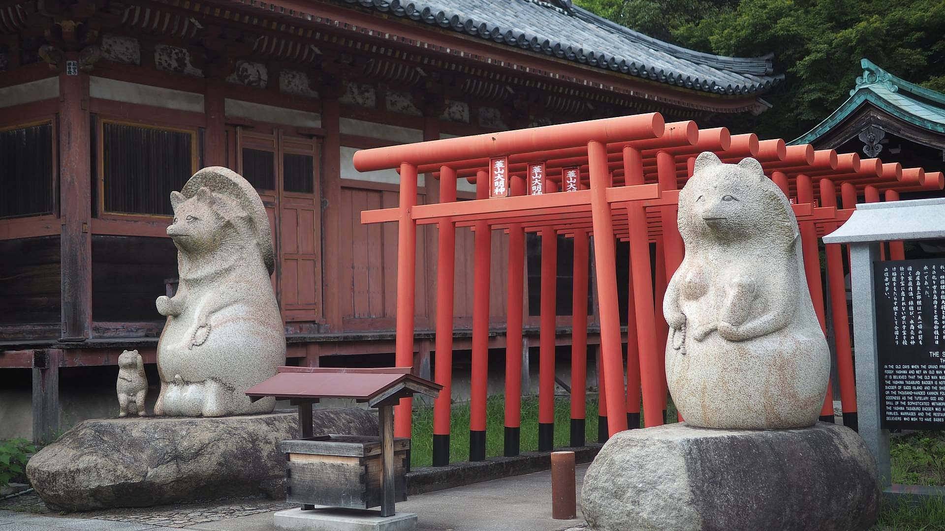 Explorando la Belleza Artística del Campo Japonés