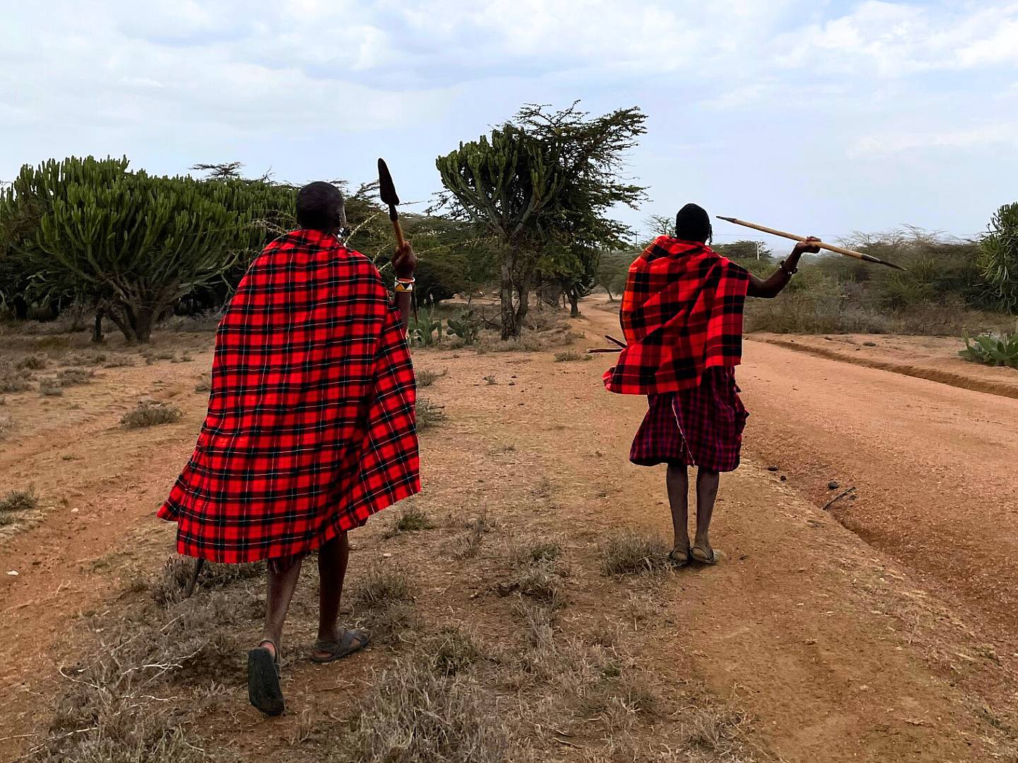 Essenza del Kenya: Un viaggio tra cultura e natura!