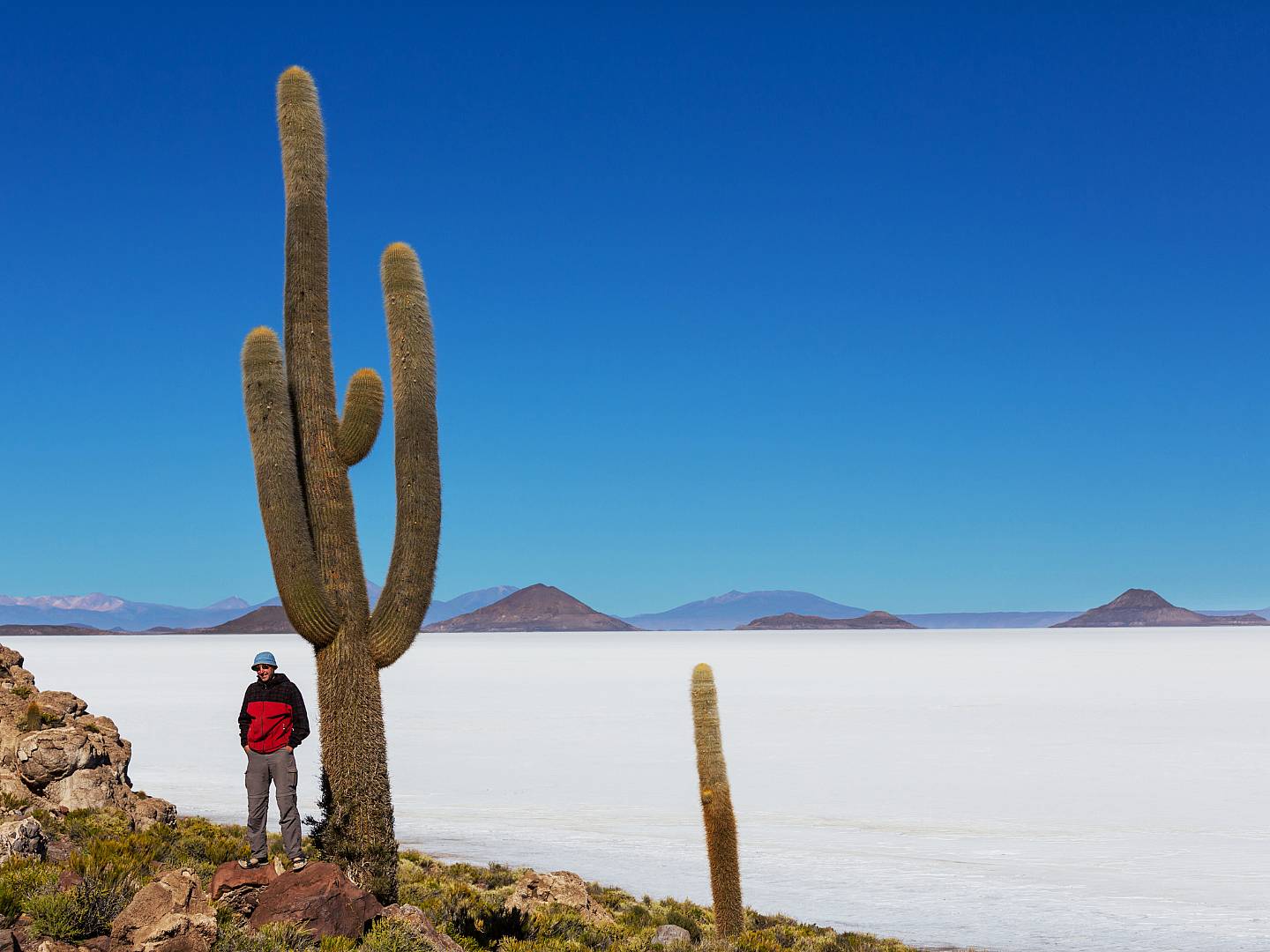 Tour di gruppo Cile e Bolivia: Santiago, deserto di Atacama e Salar di Uyuni