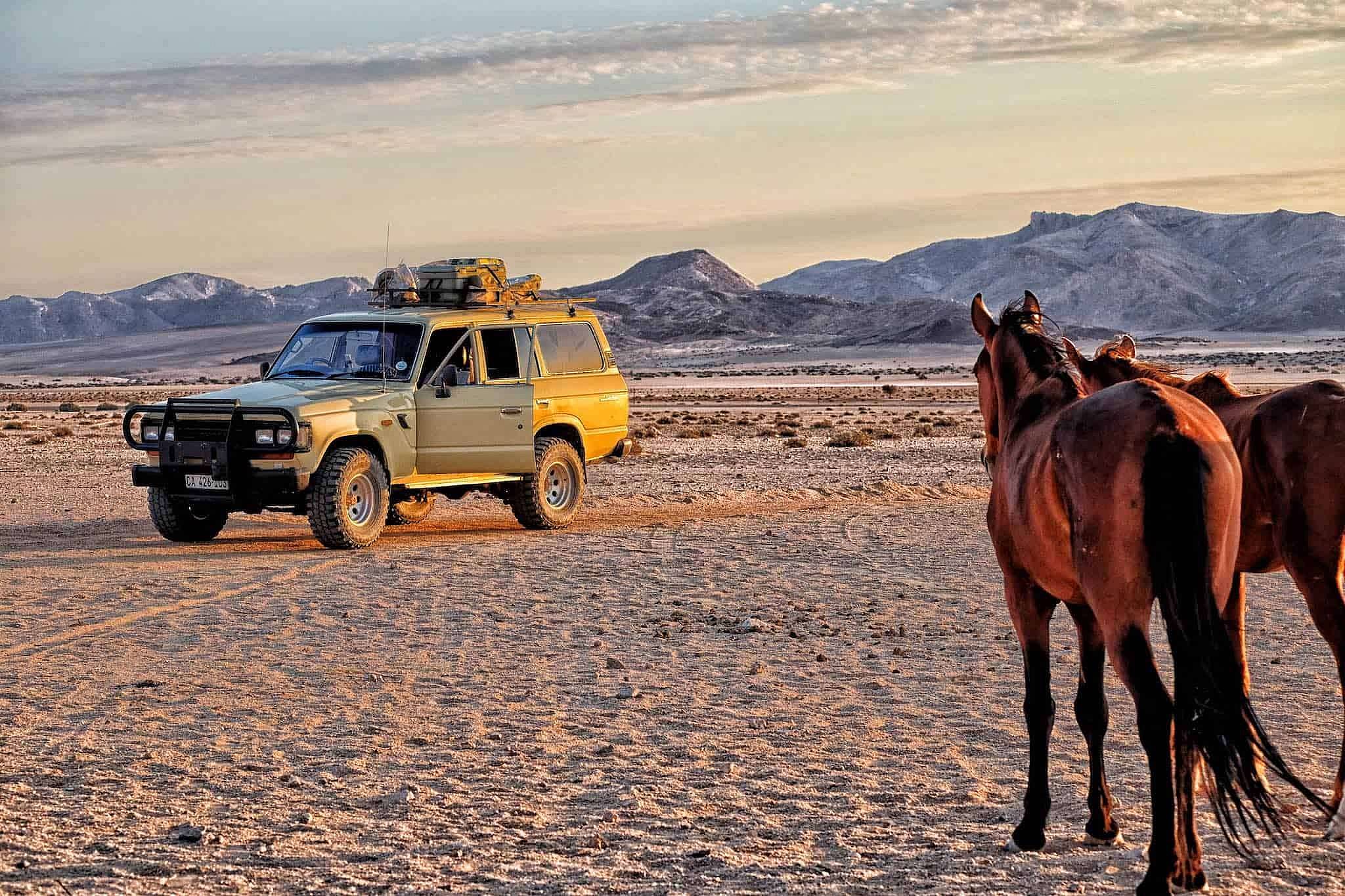 Avventura in Auto: Spedizione tra Dune e Boschi in Namibia