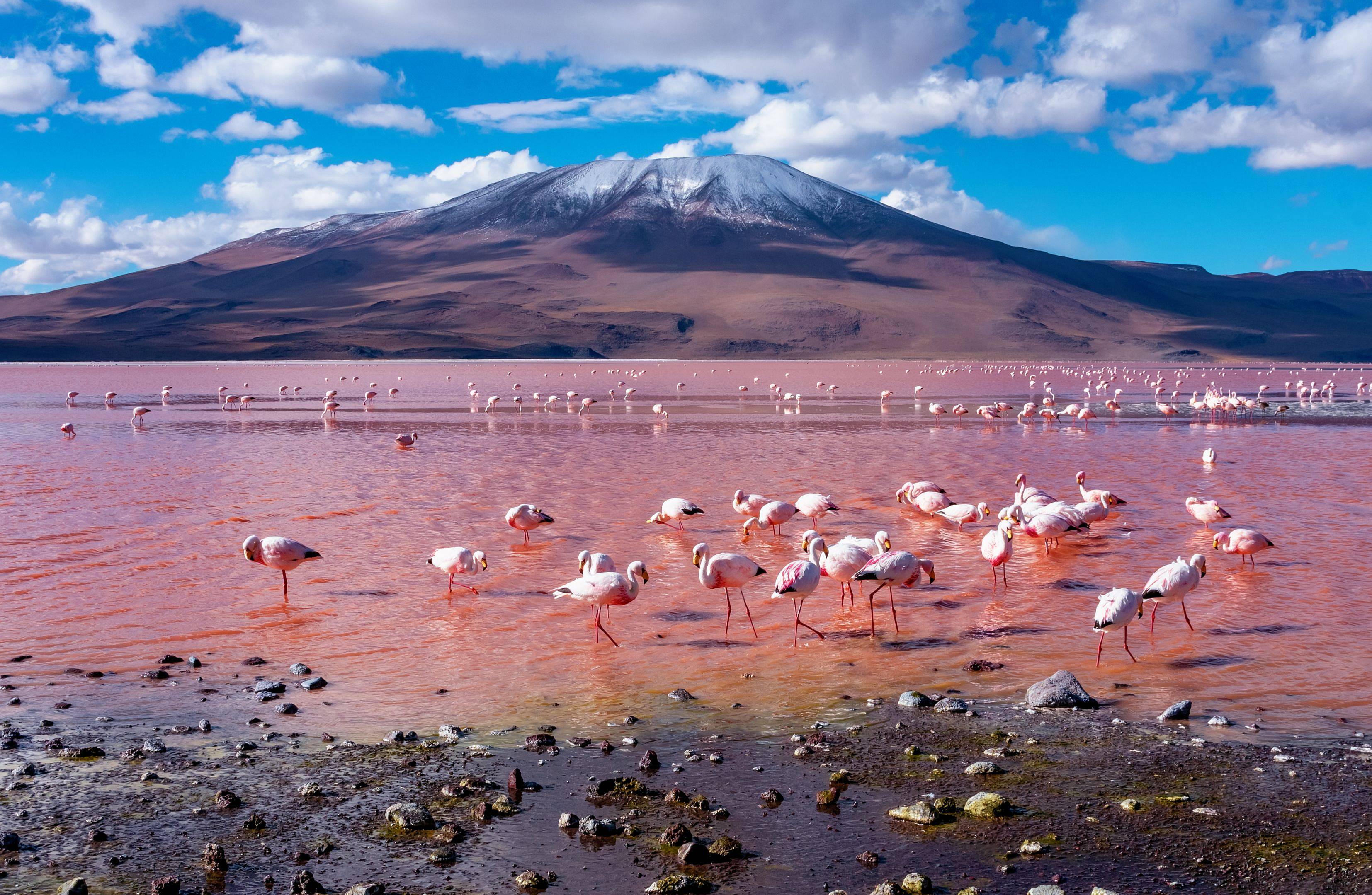 Meraviglie di Atacama e di Uyuni in 7 giorni
