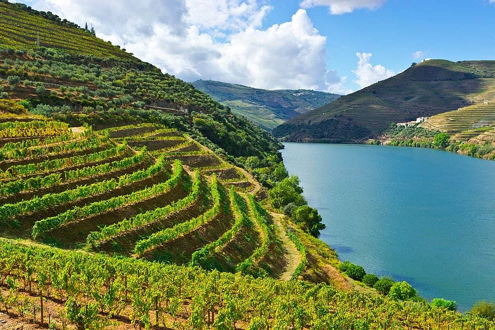 Flora, Fauna, Kulinarik und Wein im Douro-Tal