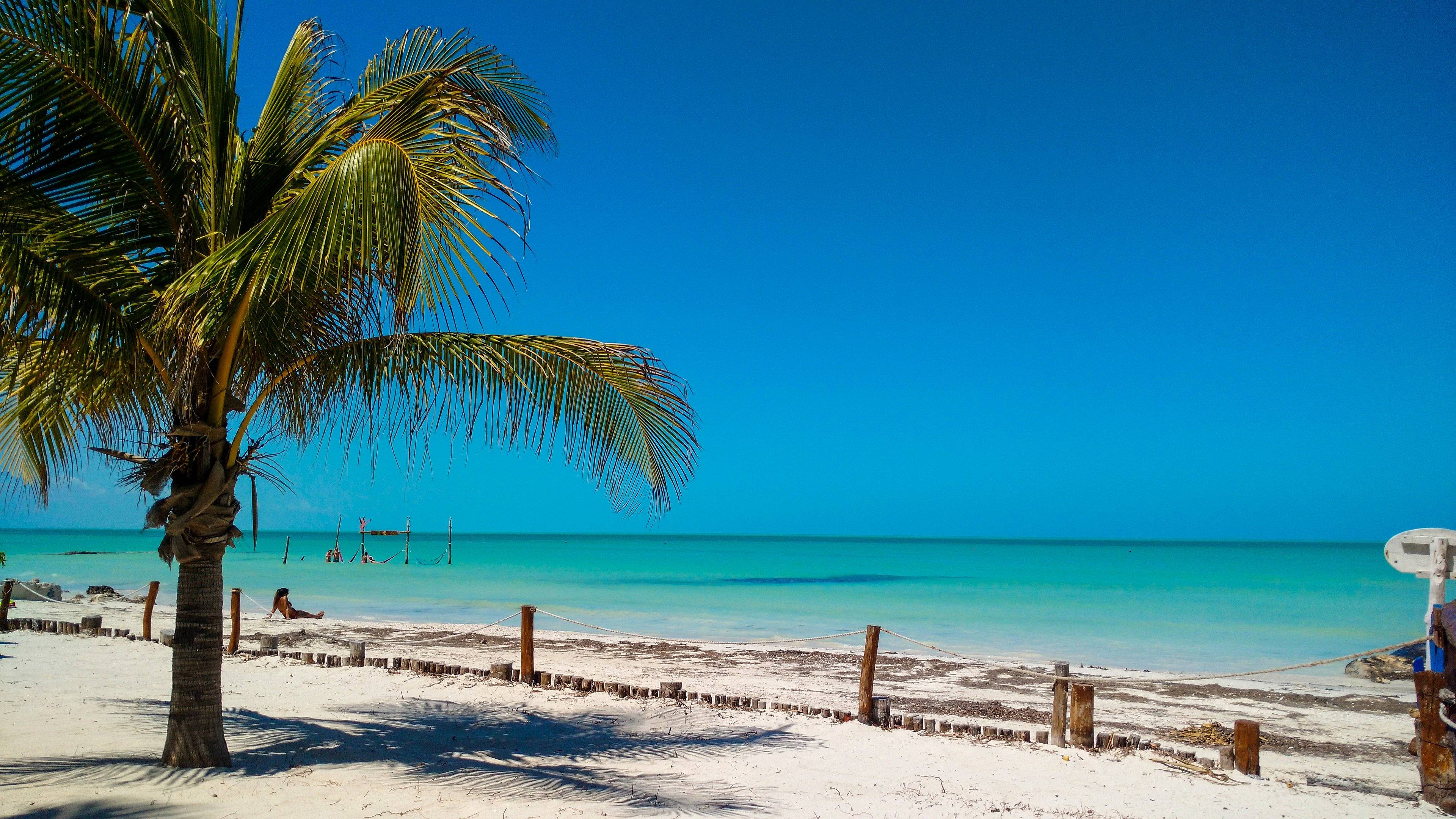 La péninsule du Yucatán avec vos petits aventuriers et votre guide privé