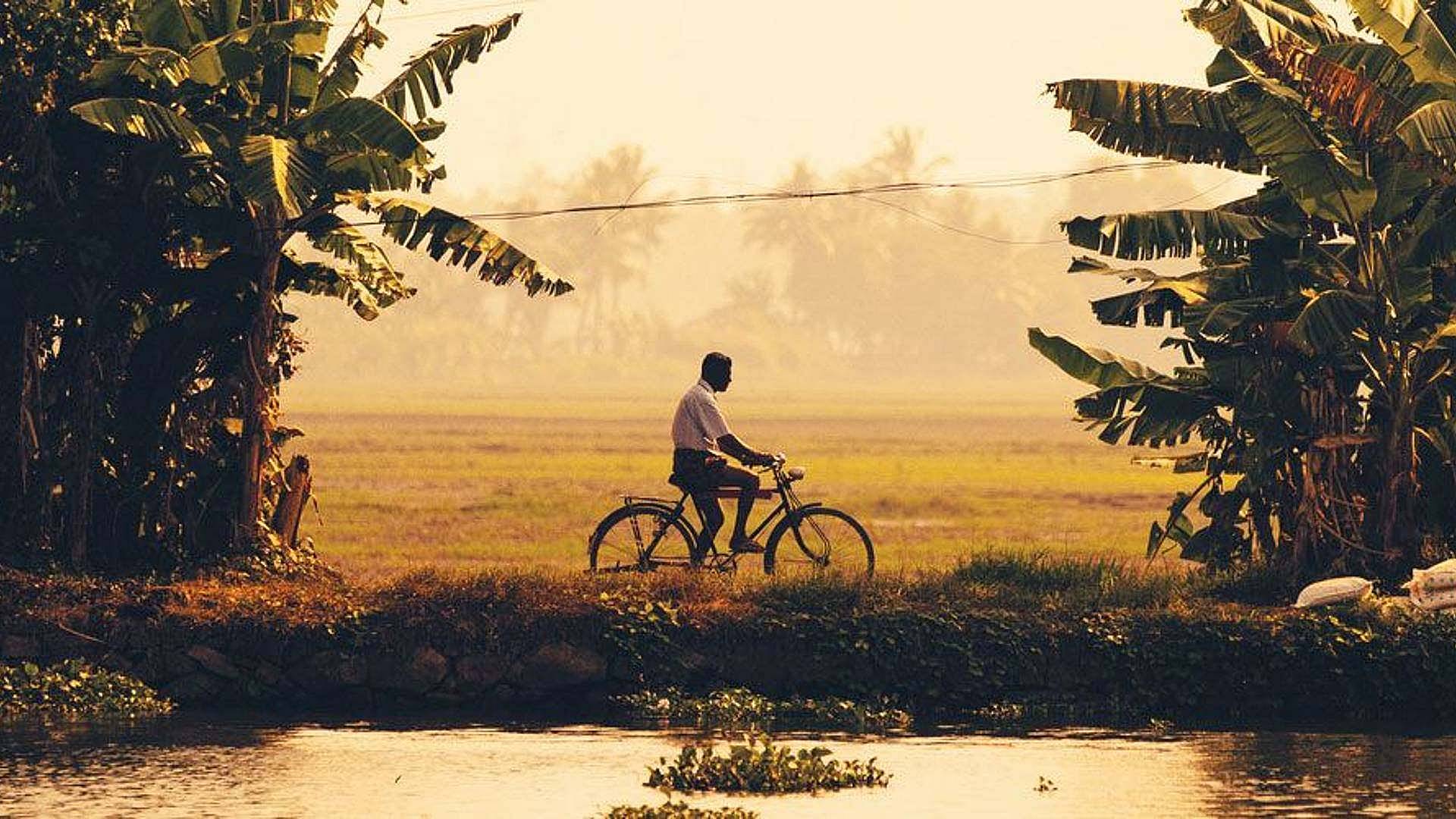 Les merveilles du Kerala à vélo