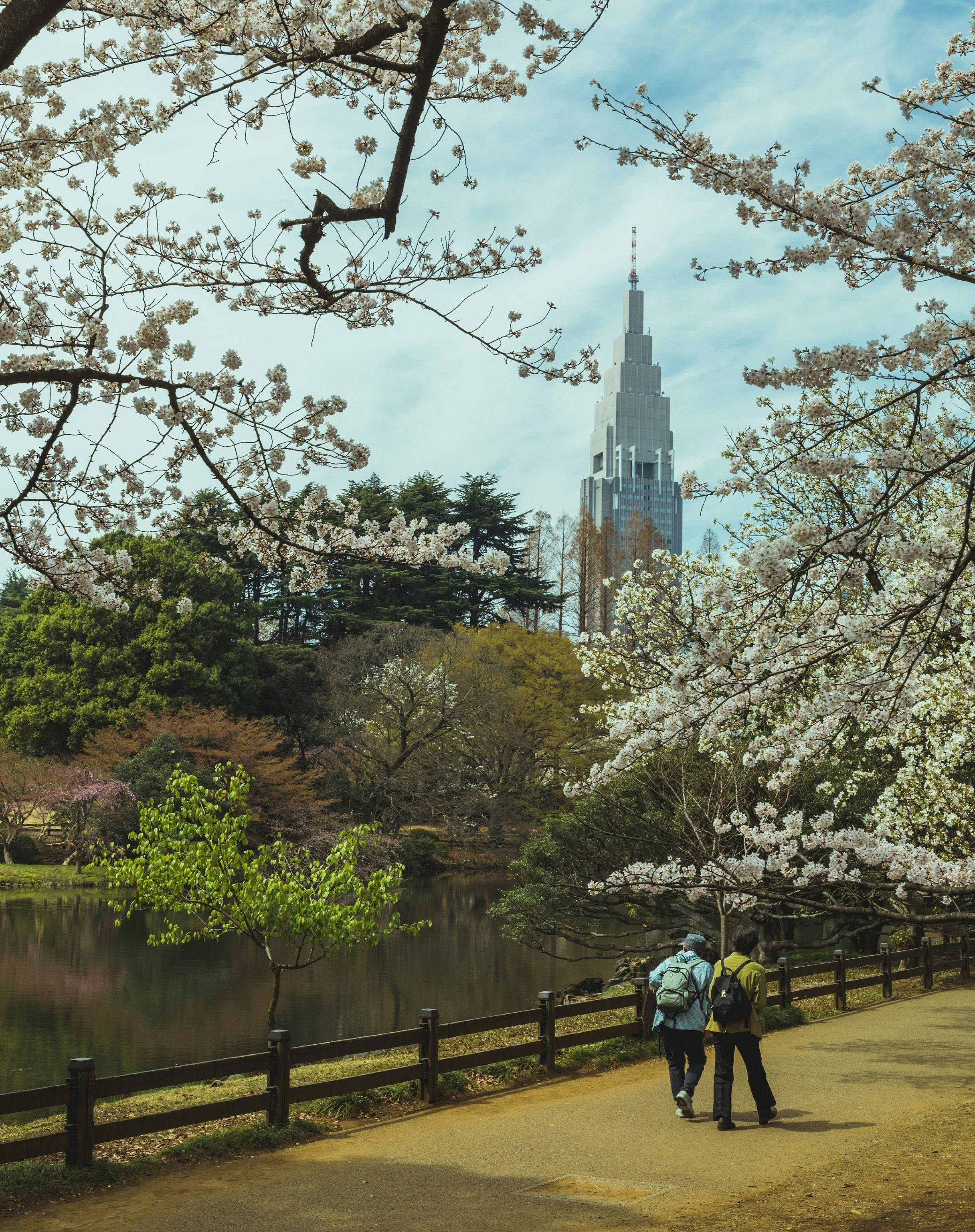 Japón Verde, Tour Ecológico por la Naturaleza y Cultura
