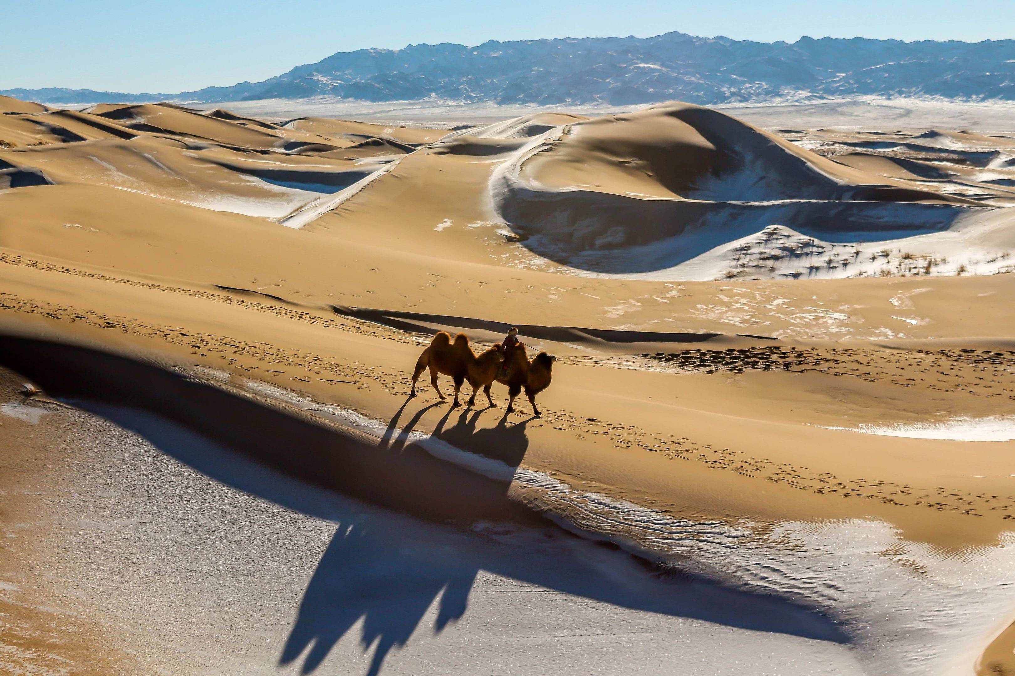 Authentischer Winterzauber in der Wüste Gobi