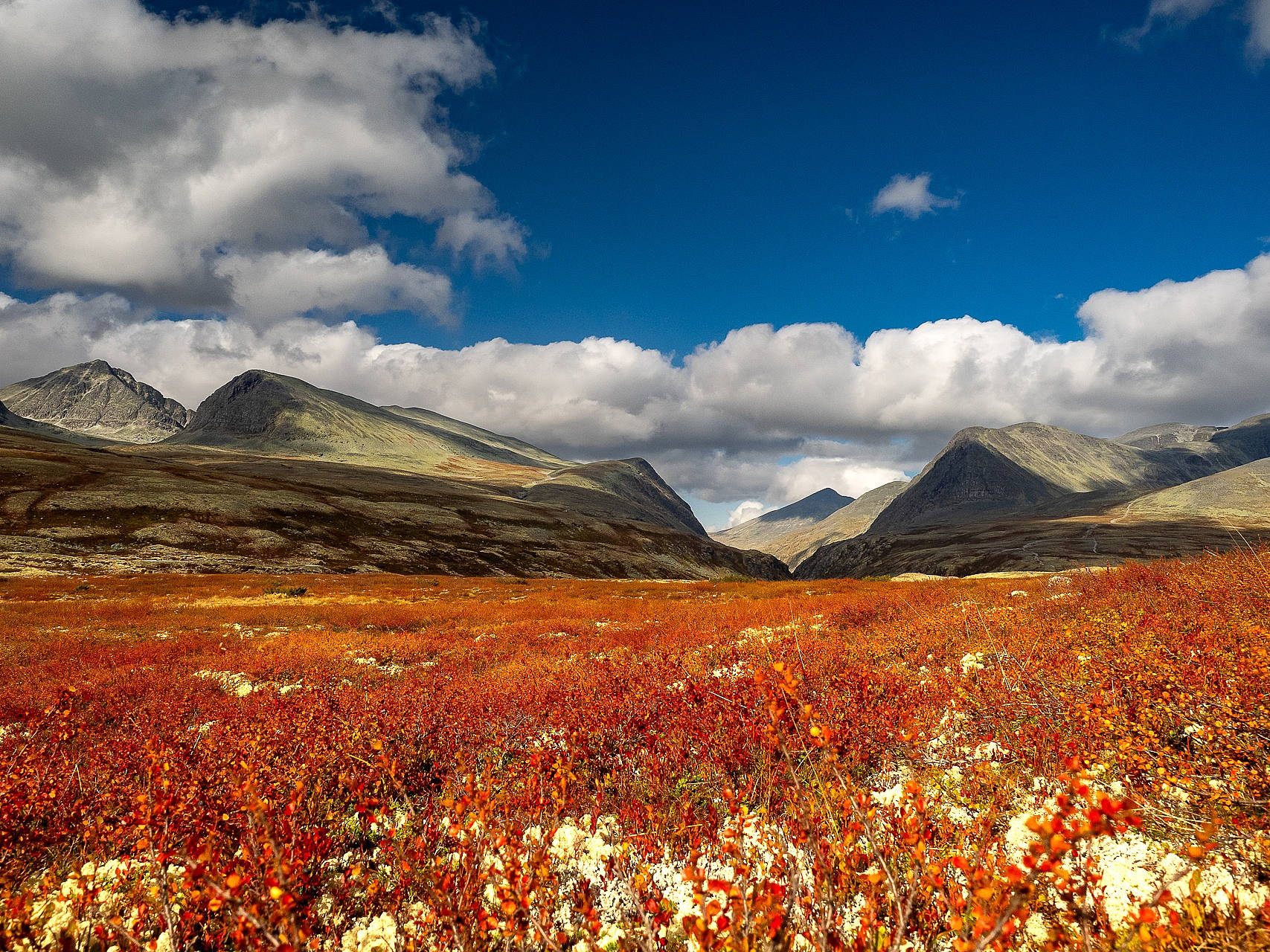 Couleurs d'automne entre montagnes et fjords