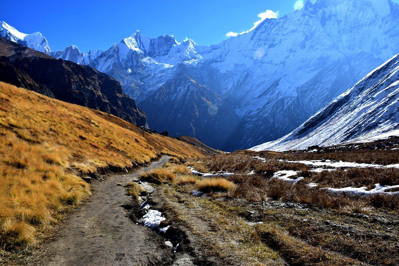 Langtang Valley Trek: Reise in die magischen Himalayas