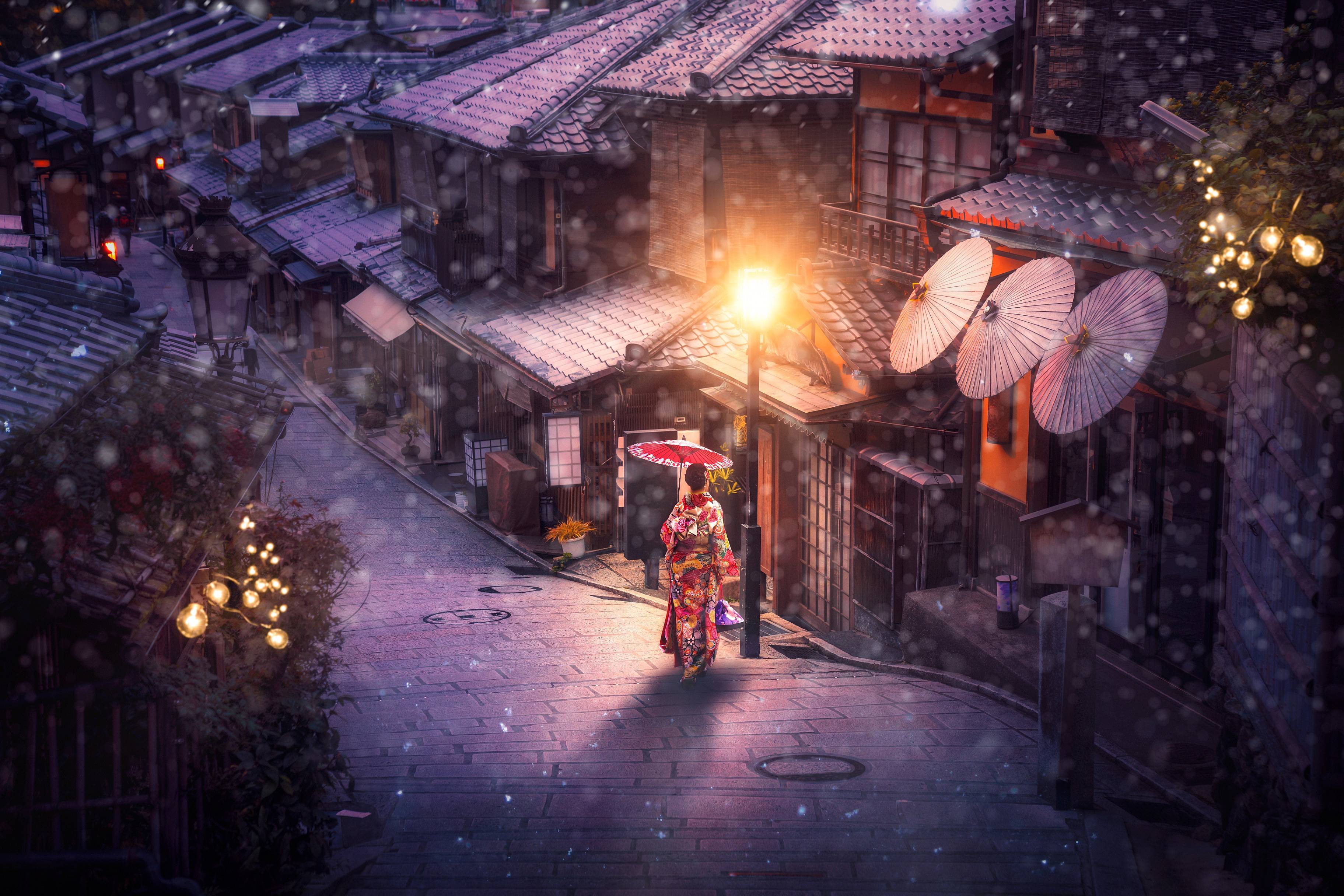 Splendeurs hivernales de Honshu