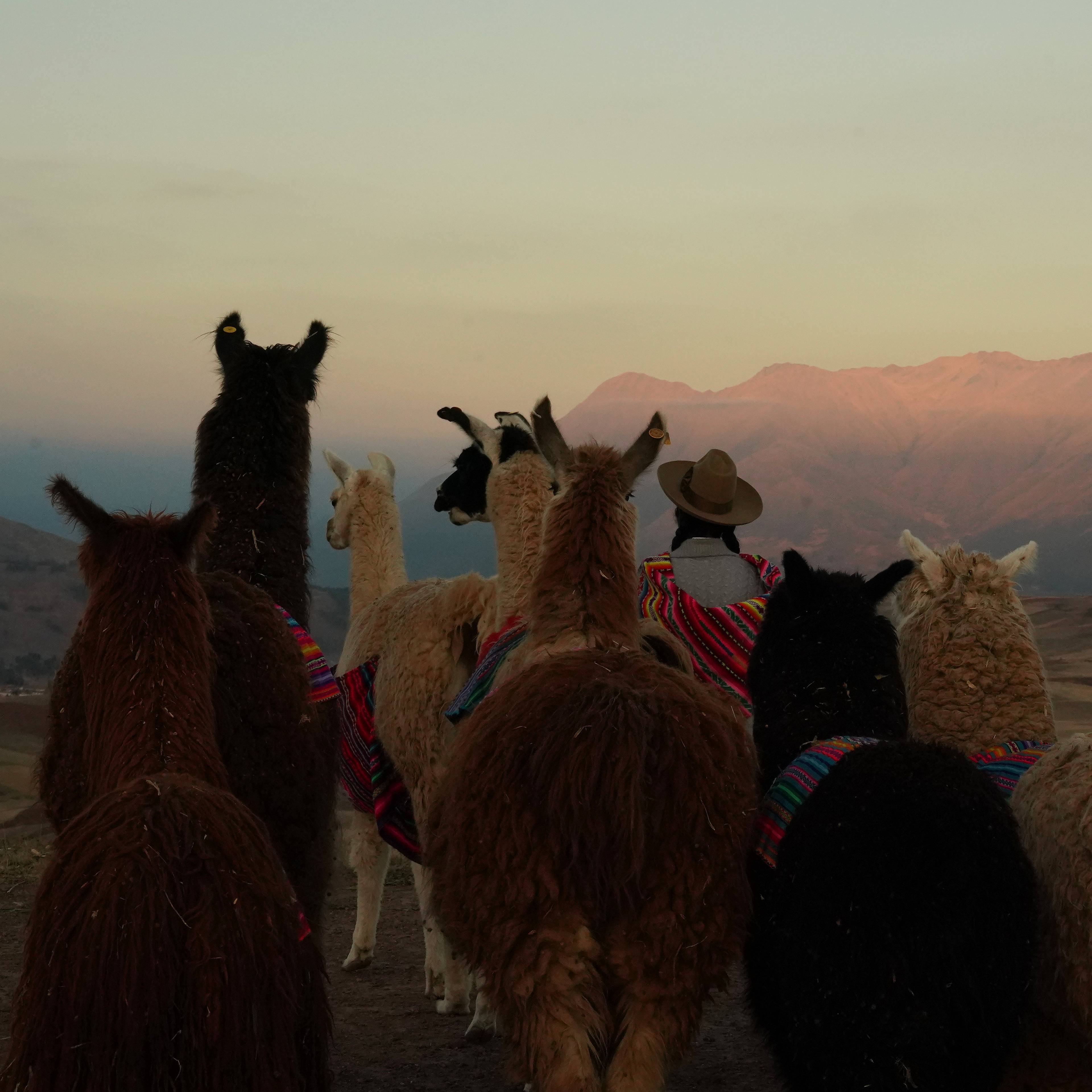 Viajar a Perú