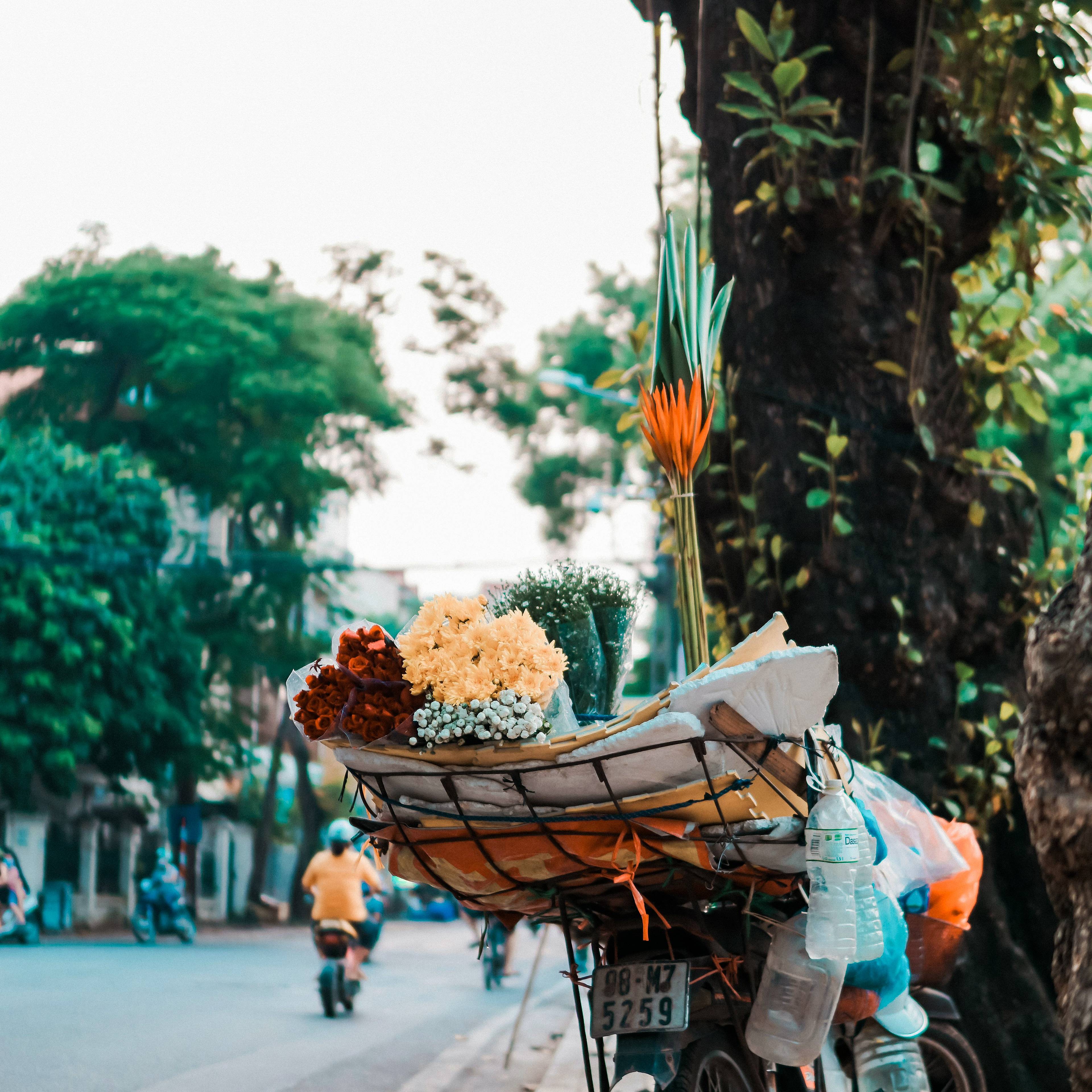 Voyage au Vietnam