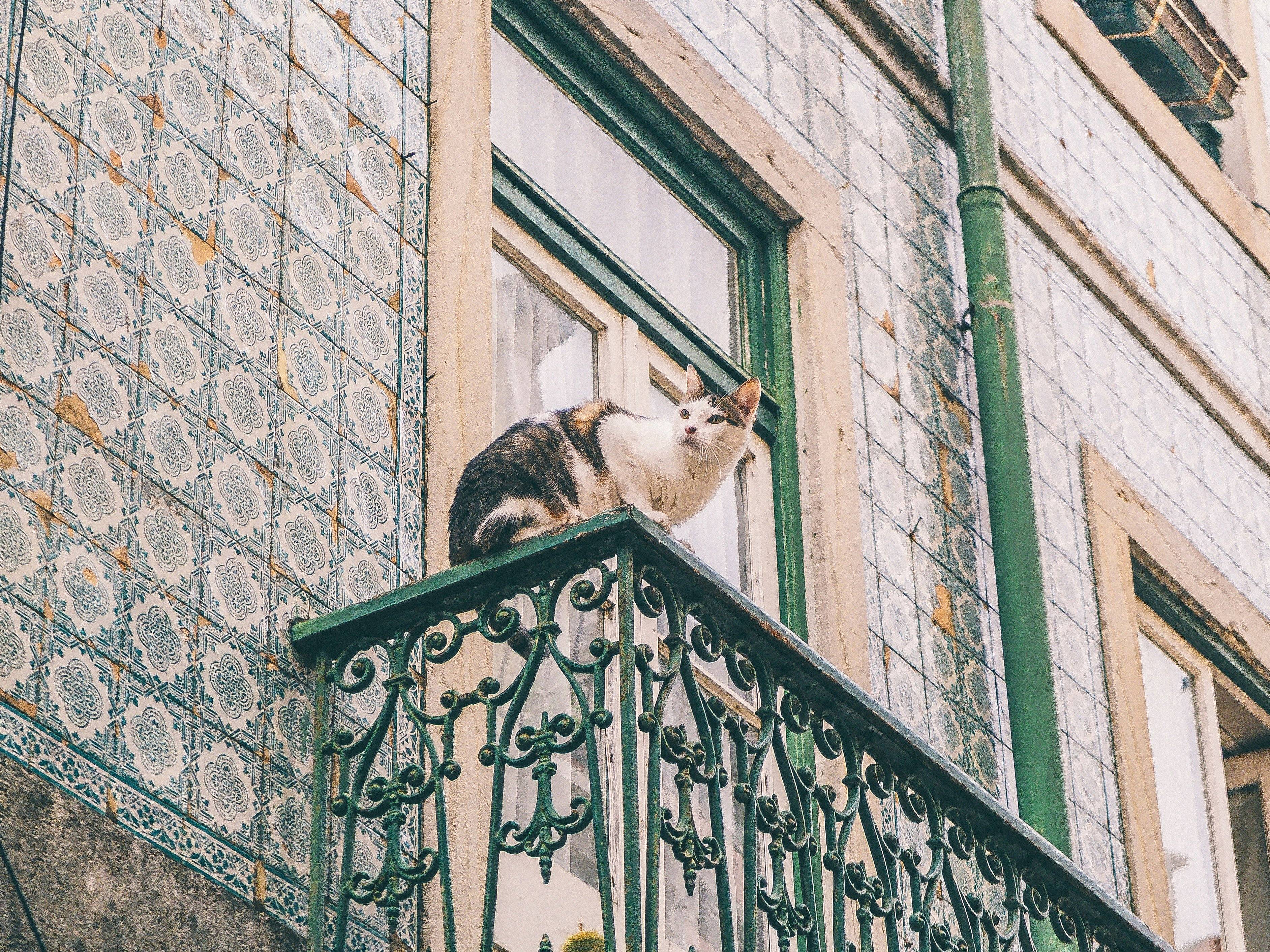 Voyage au Portugal