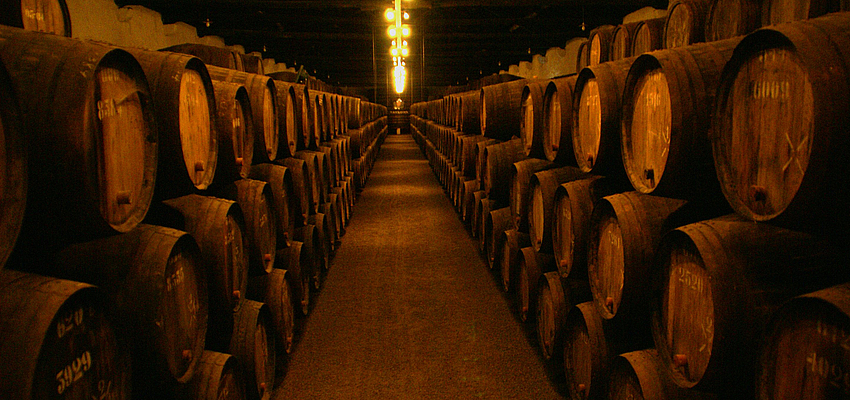 Visita guiada de los viñedos en el valle del Douro