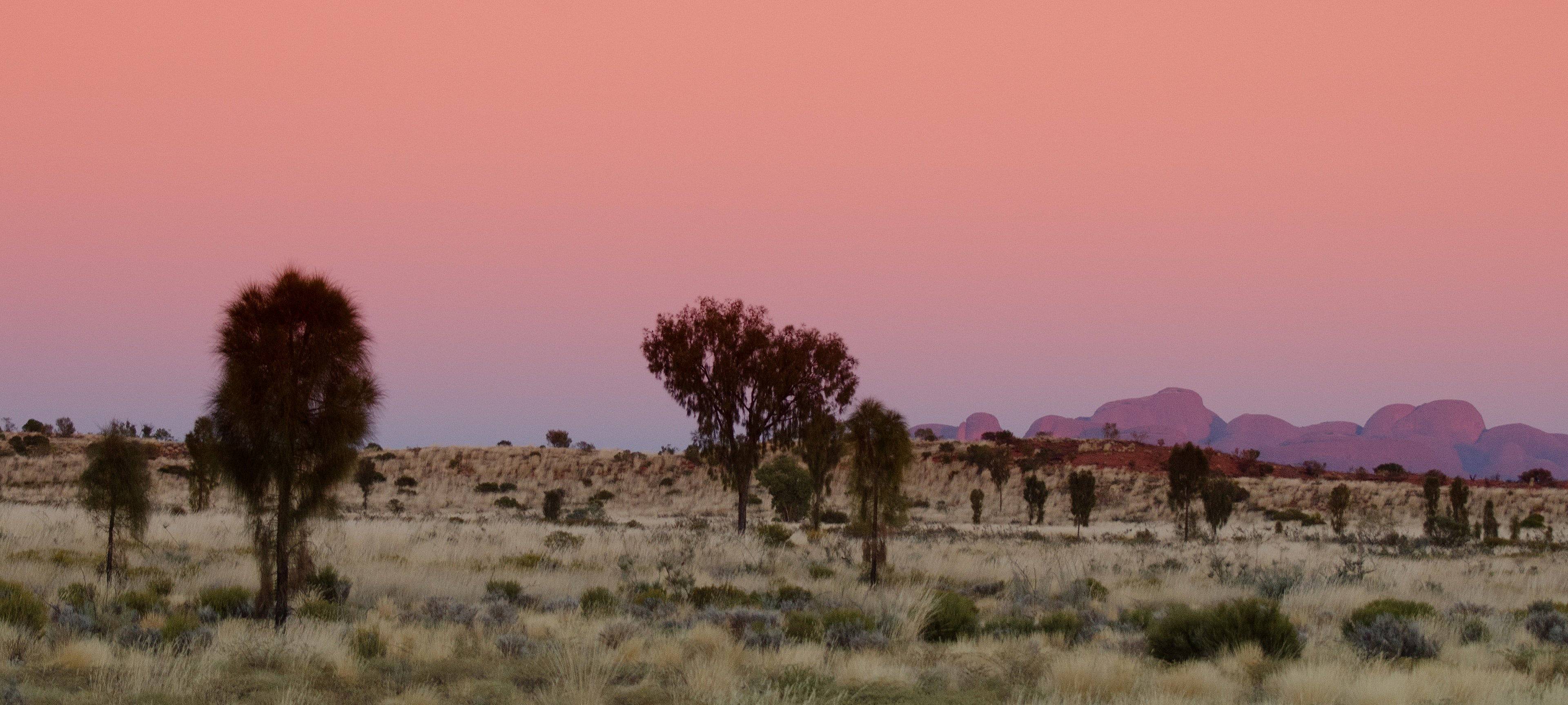 Meine Winter - Namibia - Reise jetzt individuell gestalten