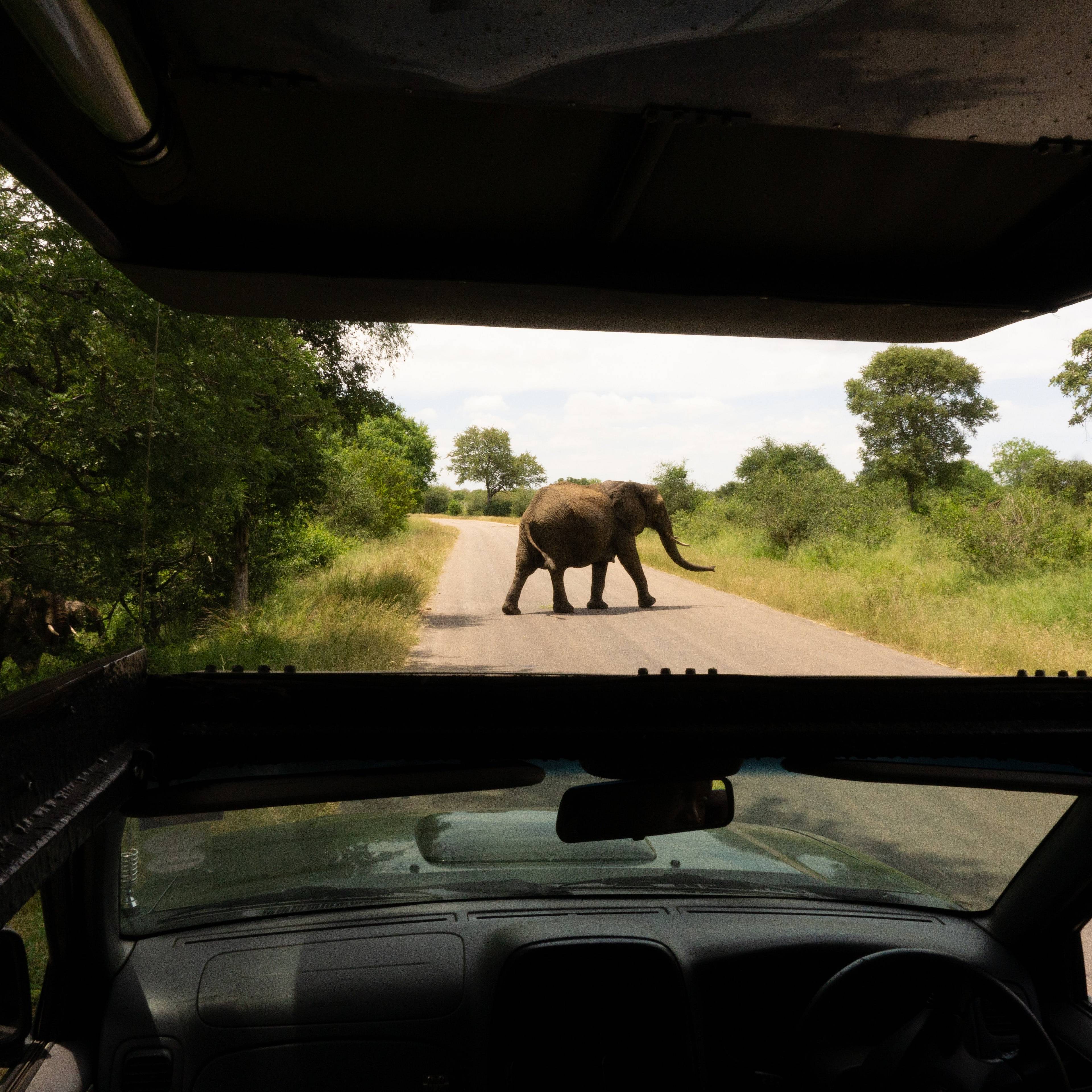 Votre voyage Printemps en Tanzanie à la demande