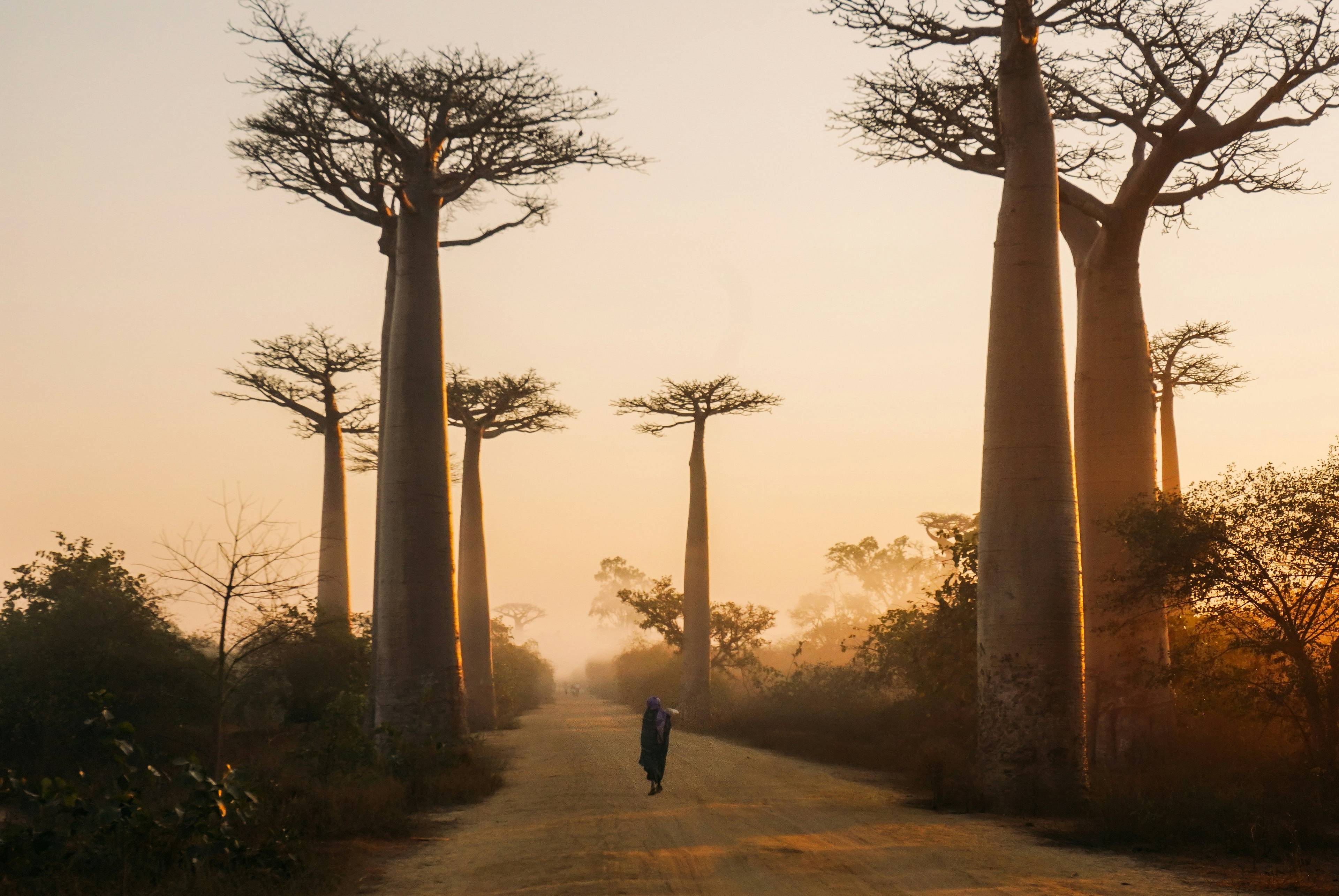 Votre voyage Hiver à Madagascar à la demande