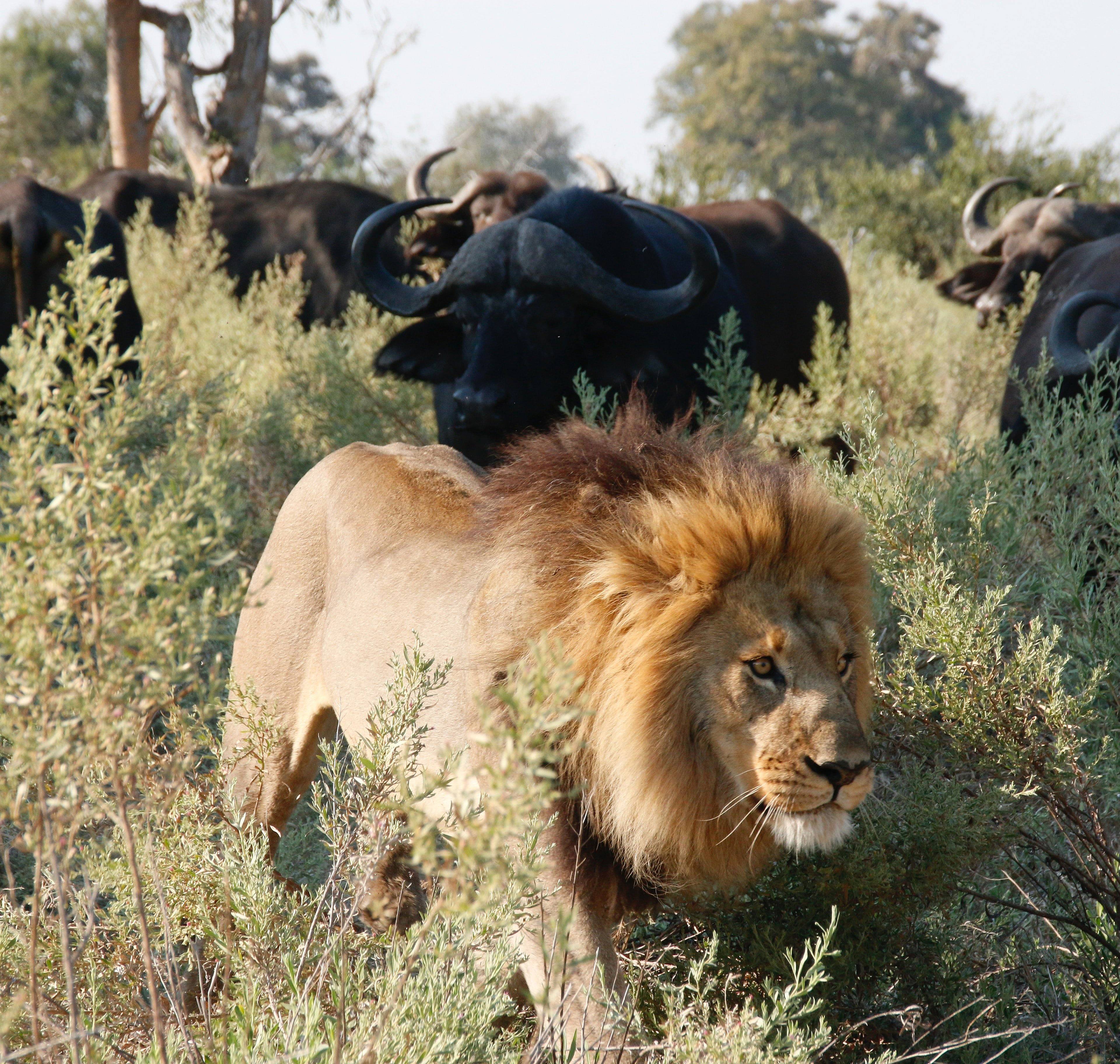 Votre voyage Hiver au Kenya à la demande