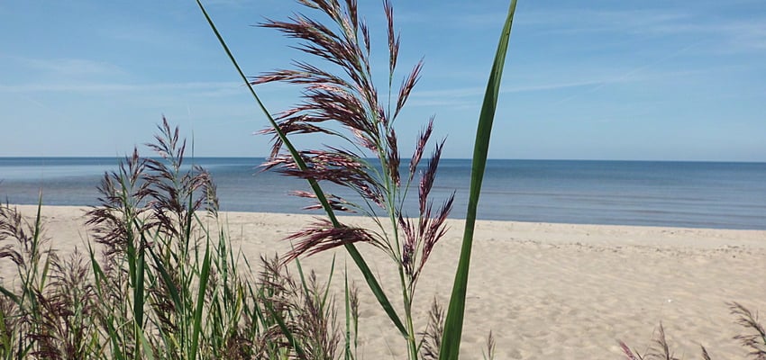 Playa en Letonia