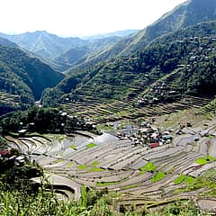 Les rizières Ifugao de la cordillère des Philippines