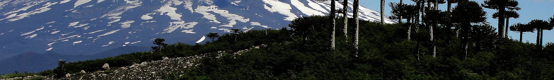 Parque Nacional Conguillio