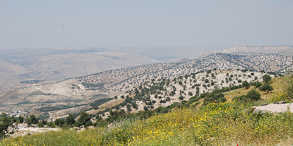 View from Gadara