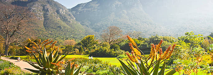 The Kirstenbosch Botanical Garden