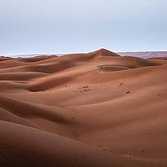 A l'aventure dans le désert de Wahiba Sands
