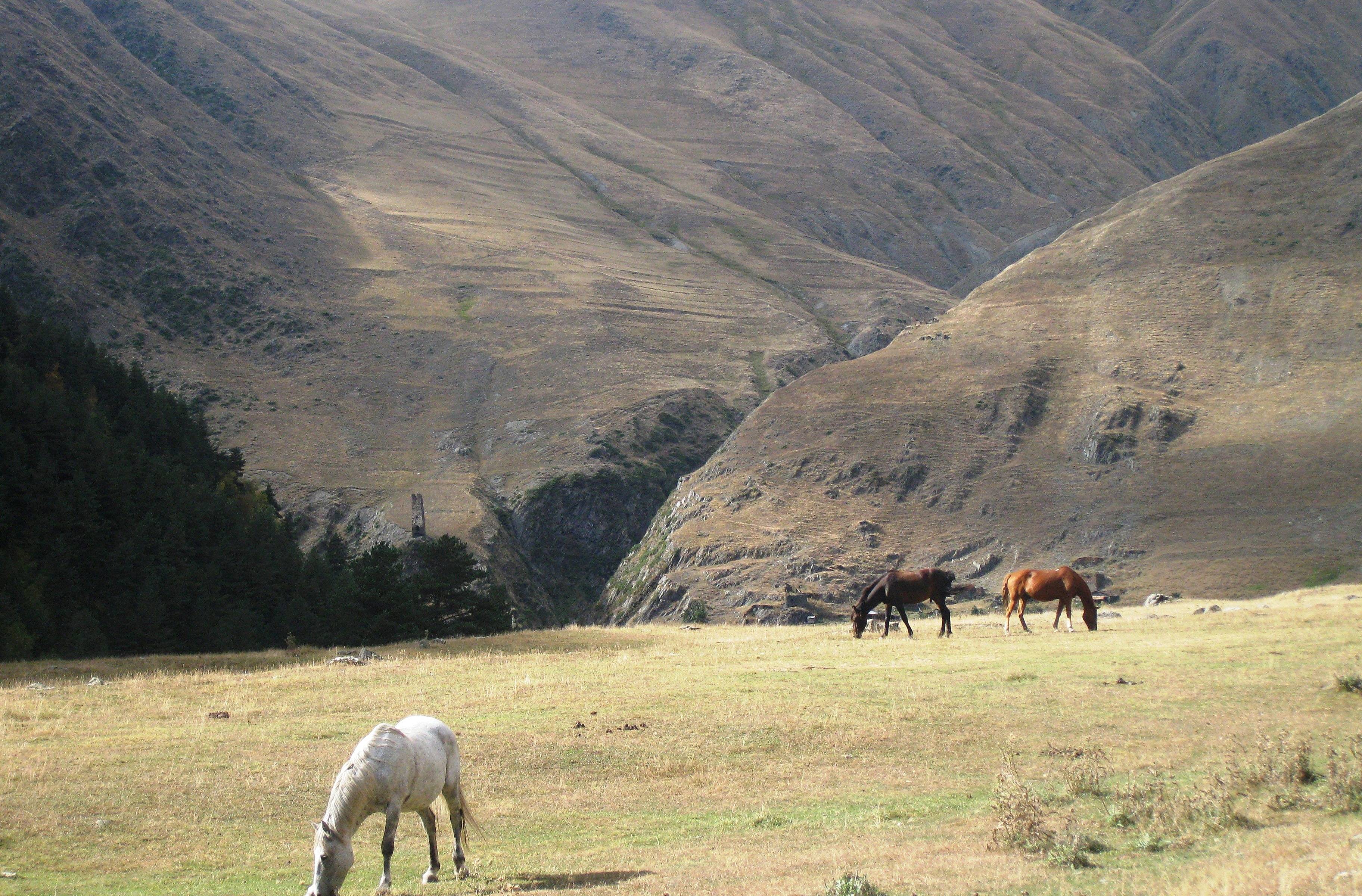 Vallée de Pirikiti