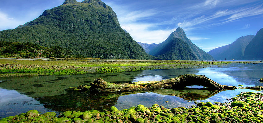 New Zealand, a destination | Evaneos