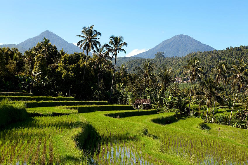 Circuit Indon sie De Java  Bali paysages de rizi res 