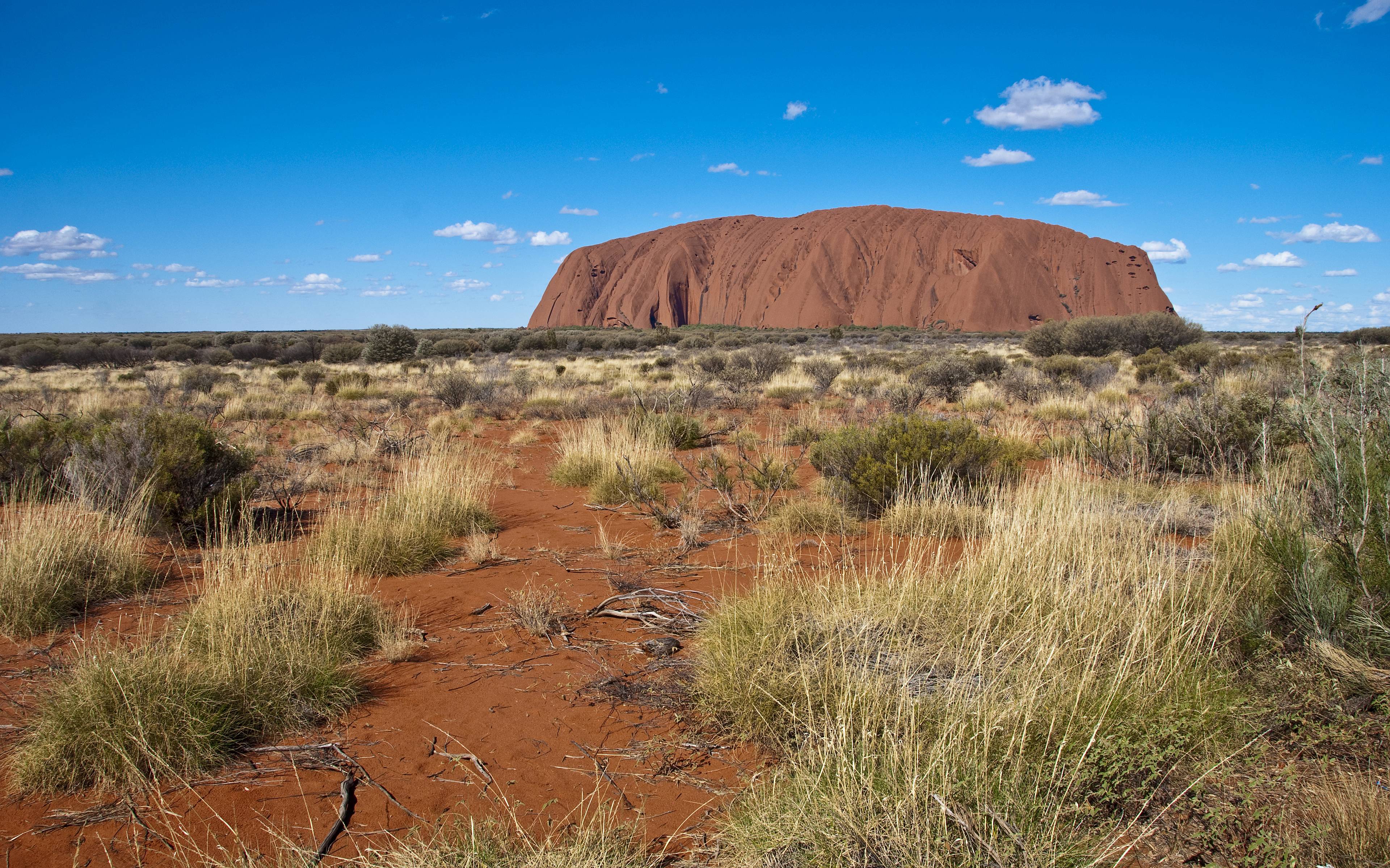Découverte du geant Uluru