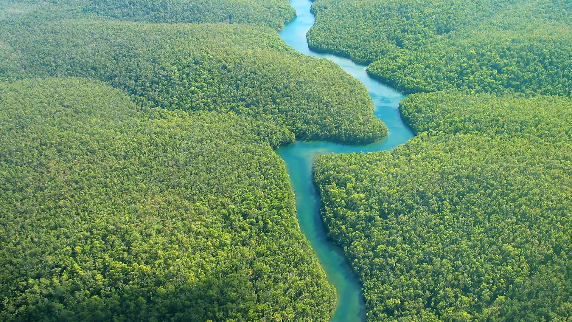 Amazzonia experience, seguendo il corso del Rio delle Amazzoni