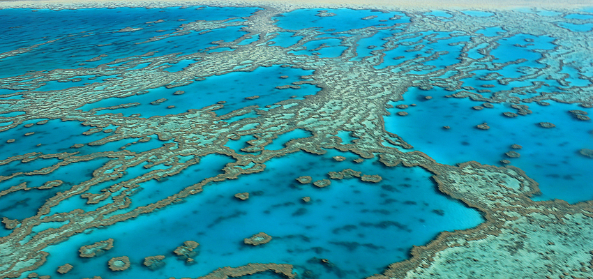 Australia Barriera Corallina In Australia Evaneos