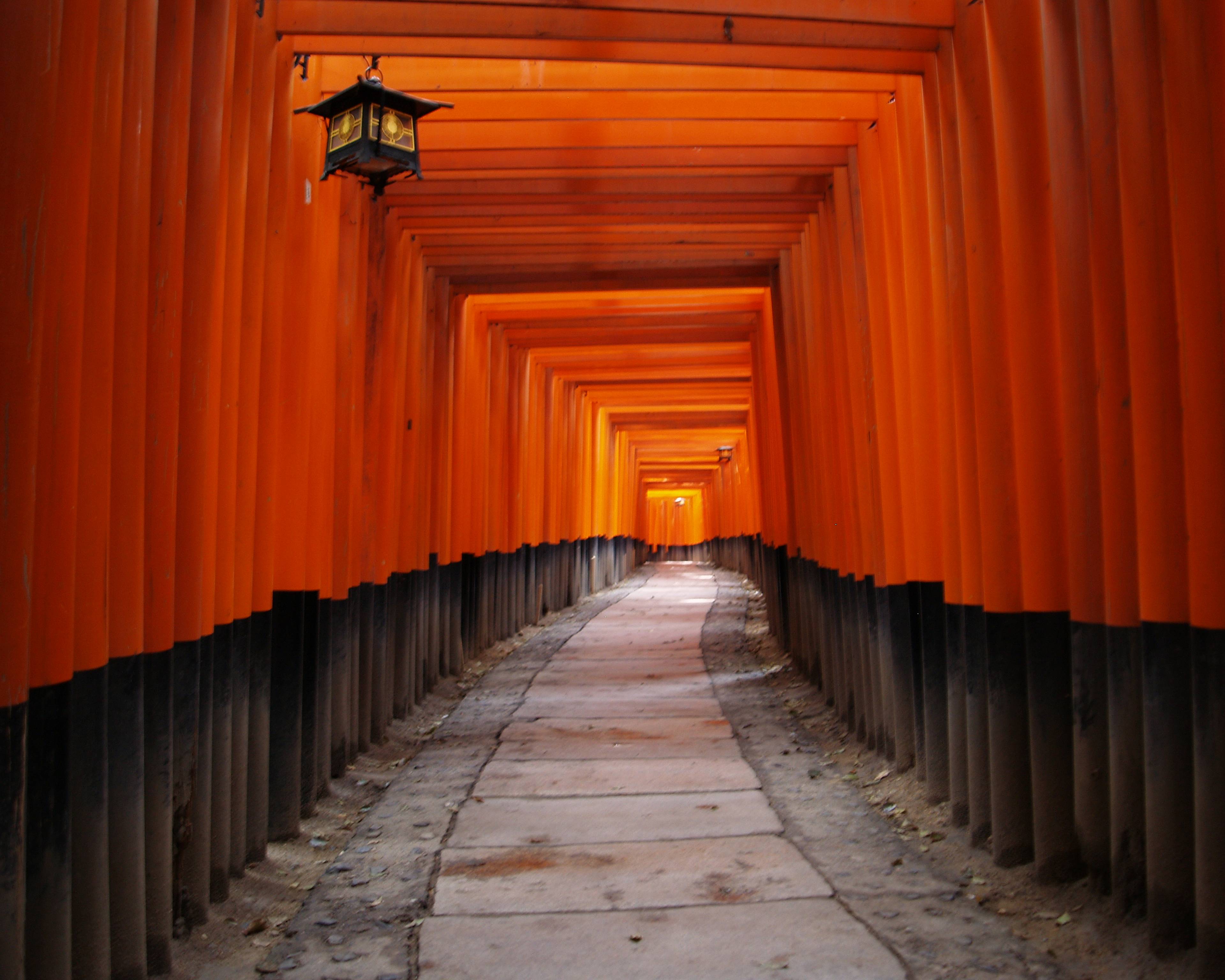 Tokyo e Kyoto, modernità e tradizione