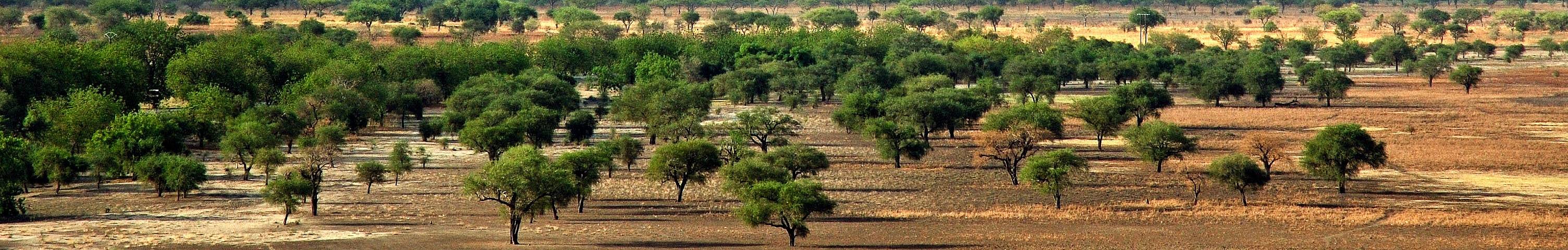 Trouver une agence de voyage au Cameroun  Evaneos