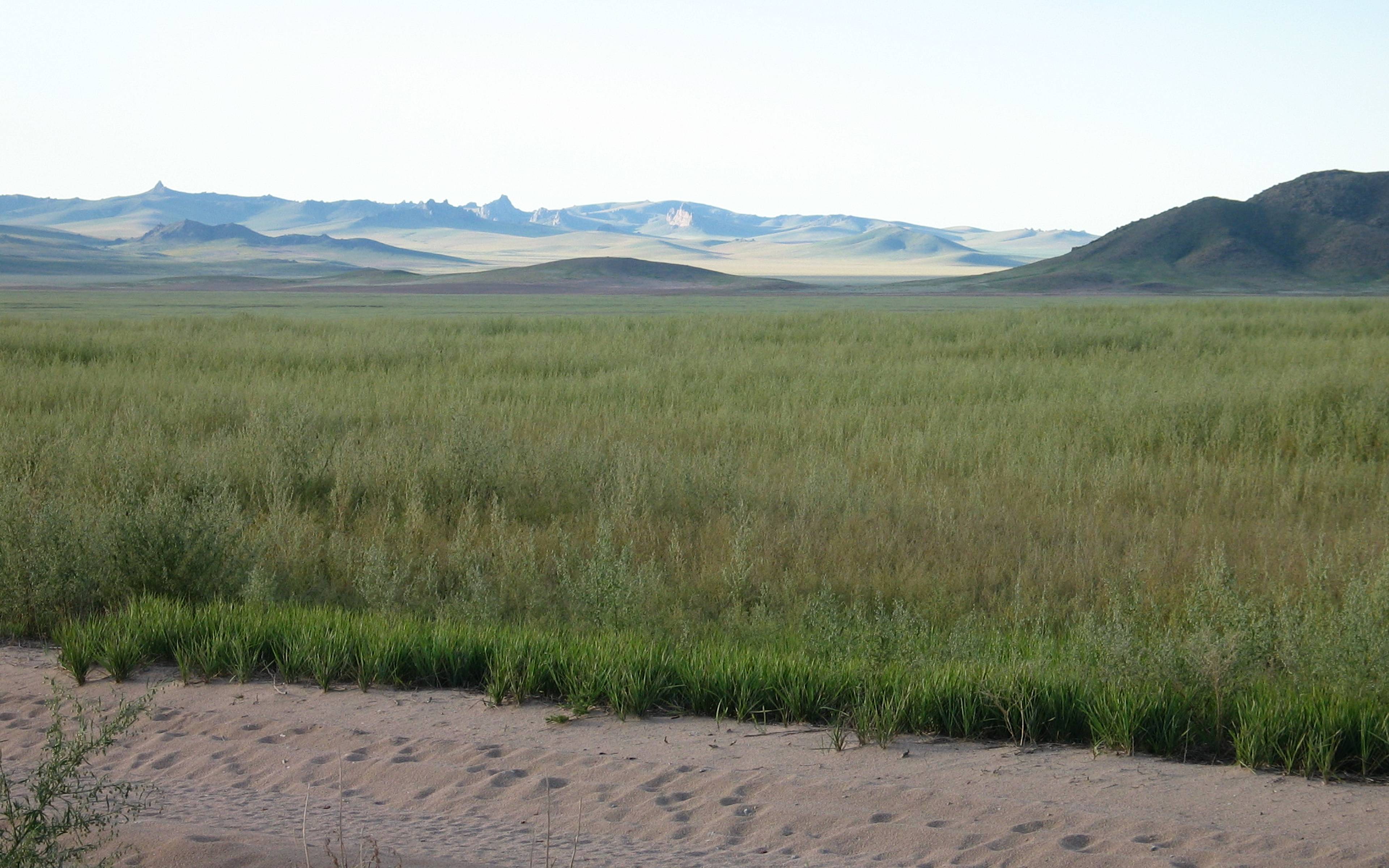 Mountainbiken im Herzen der mongolischen Steppen