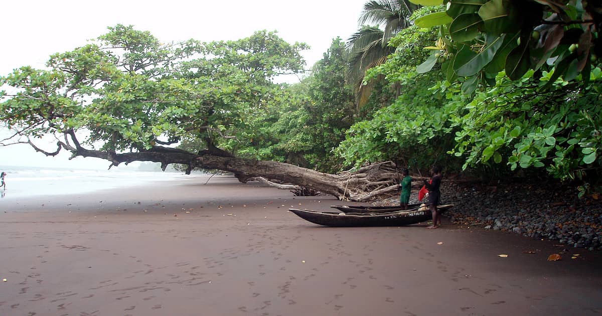 Cameroun Voyage Limbé et circuits sur mesure Evaneos