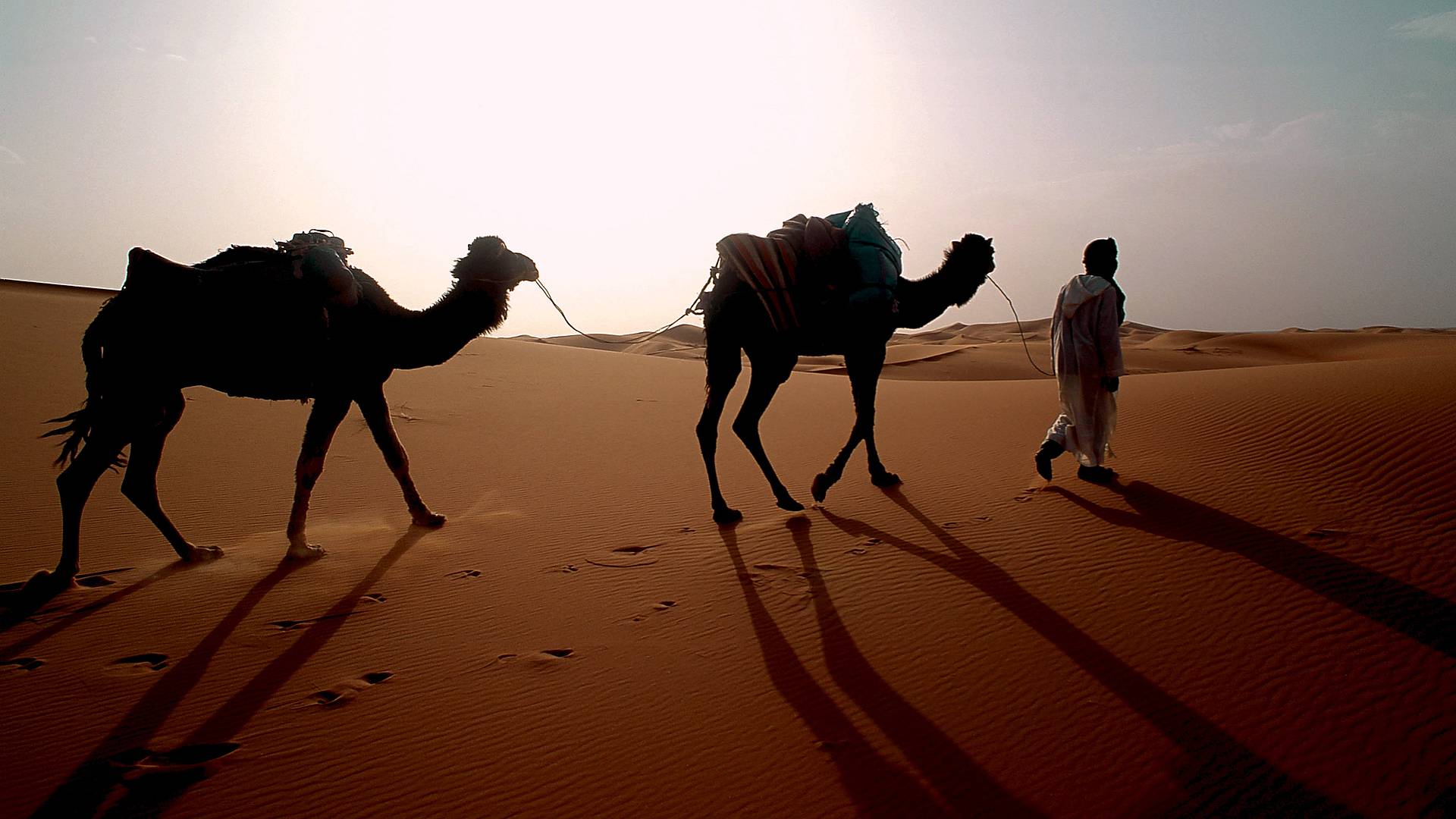 Wanderreise - auf den Spuren der Beduinen