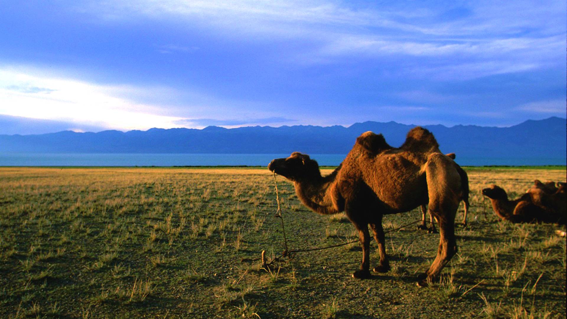 Klassische Rundreise in der zentralen Mongolei