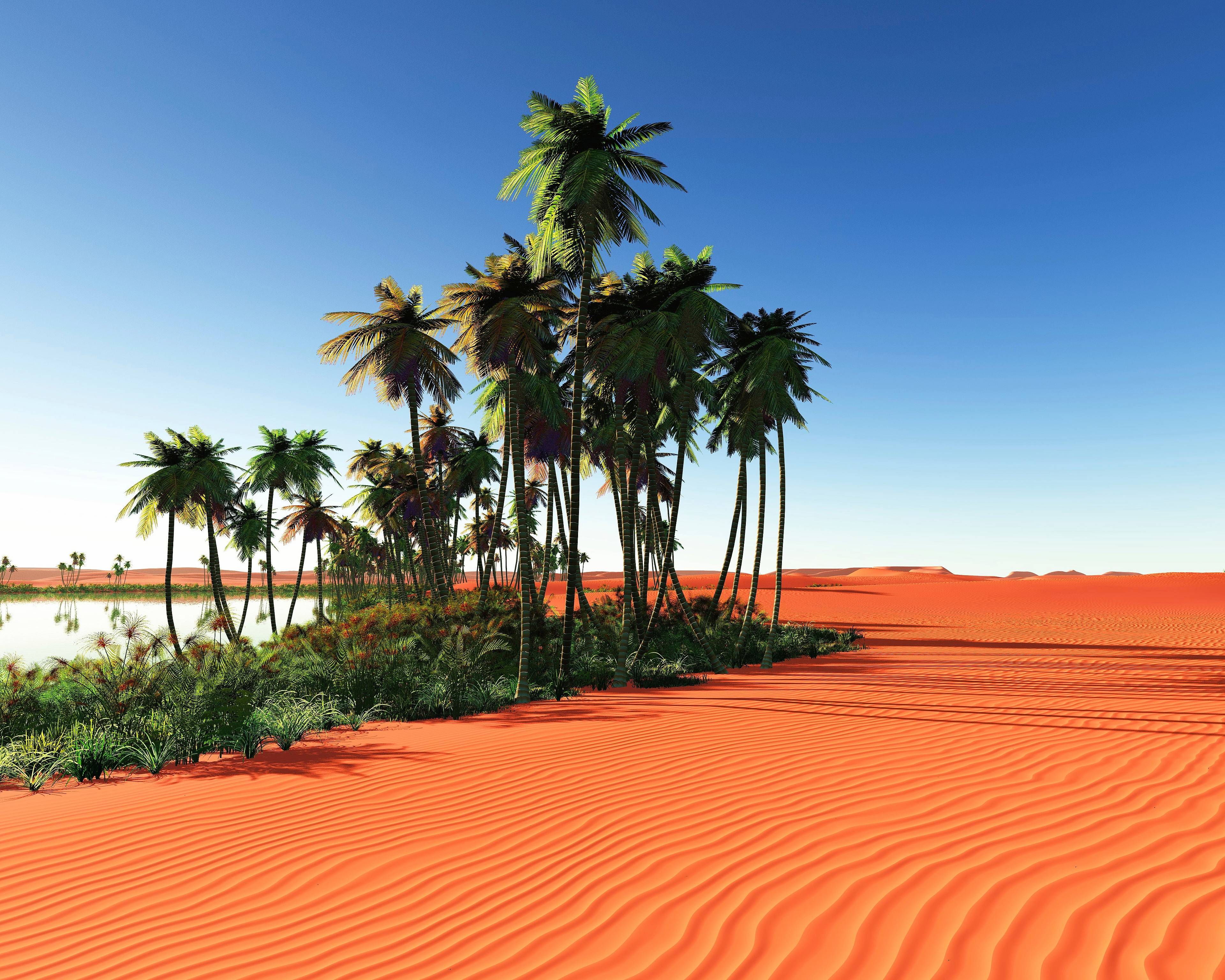 Marrakesch und das Paradies am Rand der Wüste