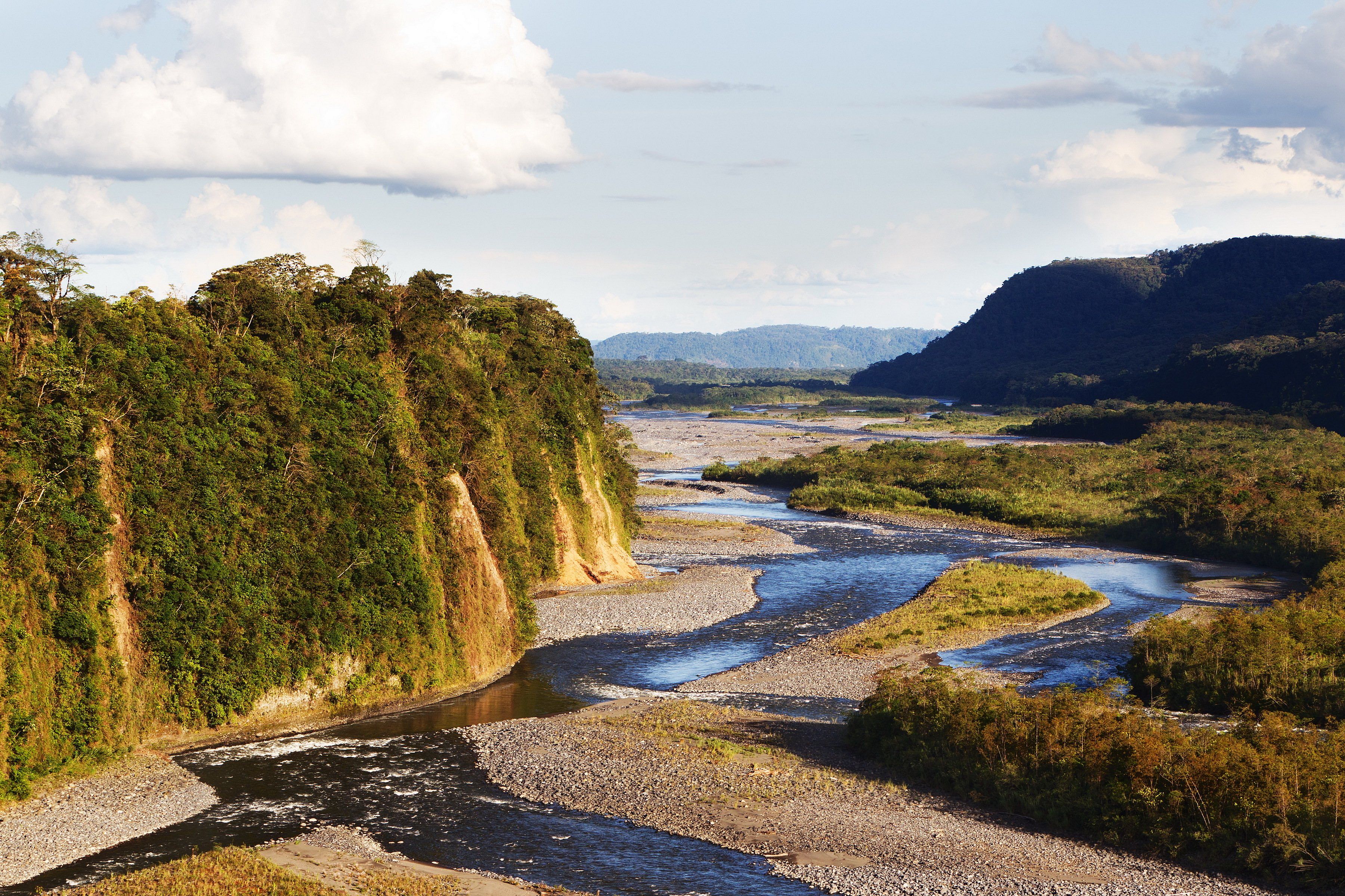 Voyage naturaliste complet: Cordillère, Rivière Napo et Parc National Yasuni