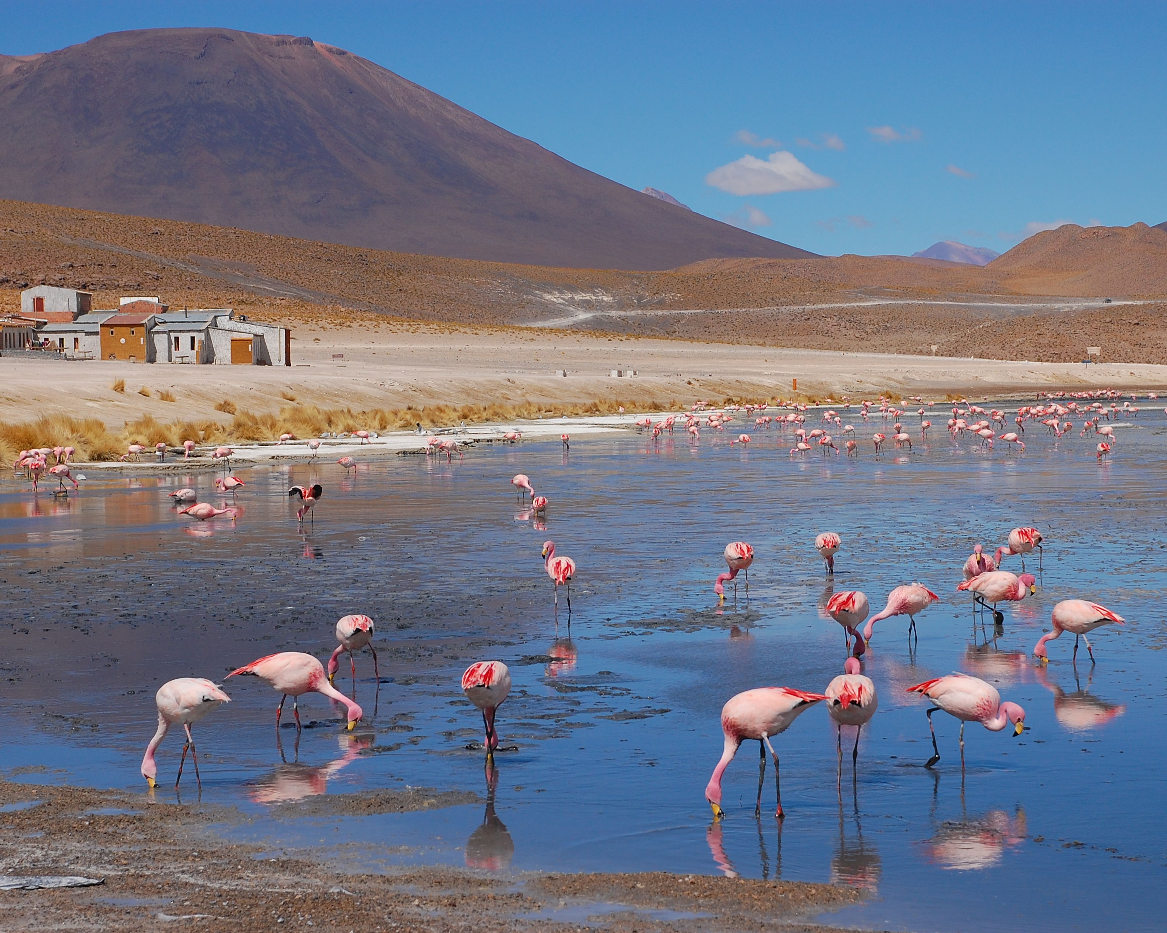 Entre Ciel et Terre: Titicaca, Lipez, Salar et Potosi