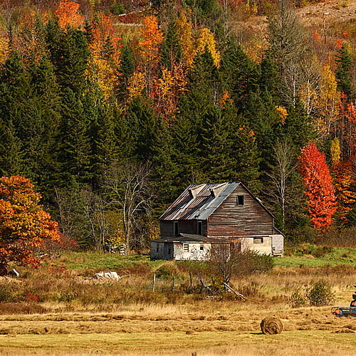 Couleurs de l'automne au New Brunswick - 