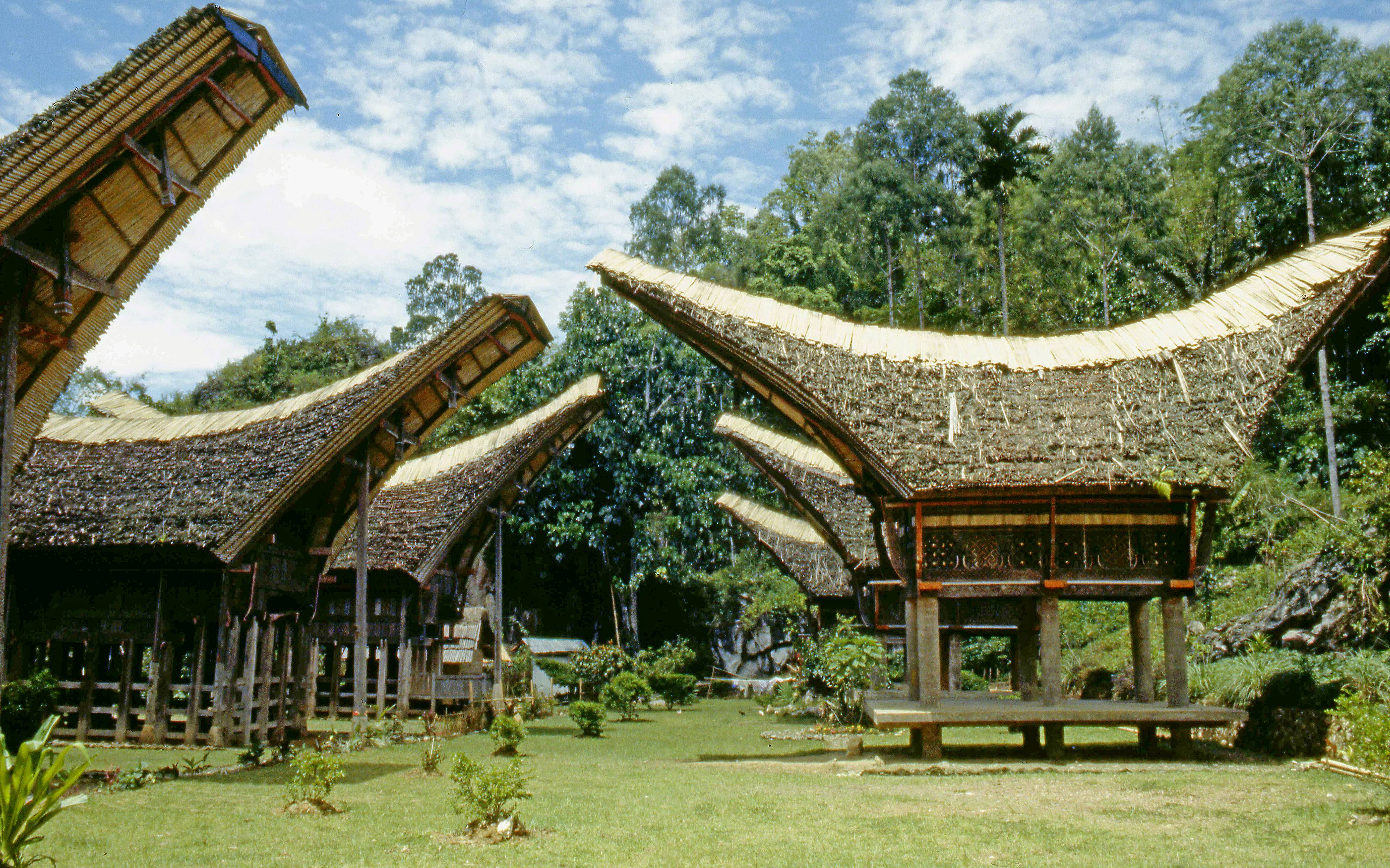 Traversée du pays Toraja et découverte des peuples Bugis