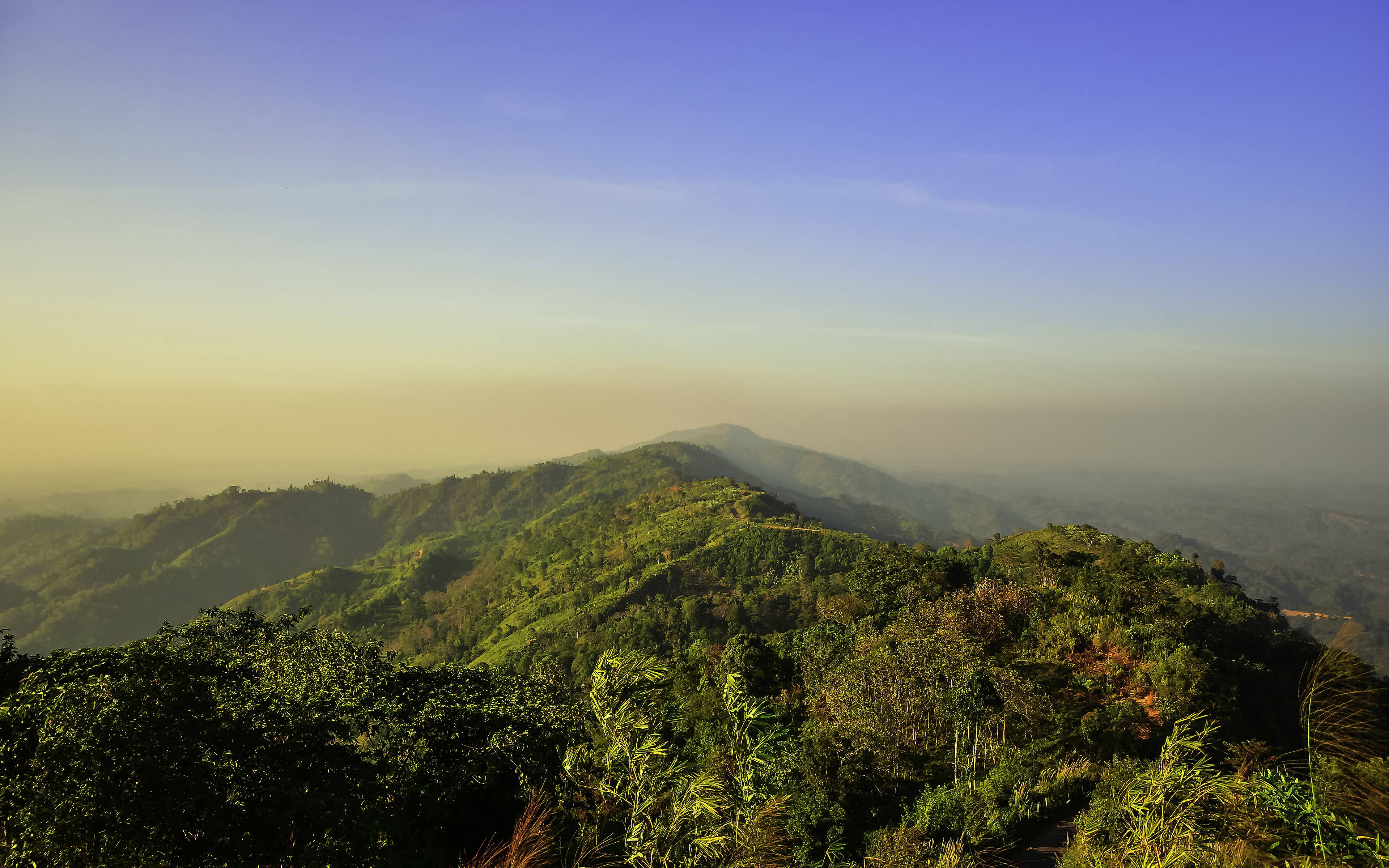 Foresta tropicale del Nilgiri Hills